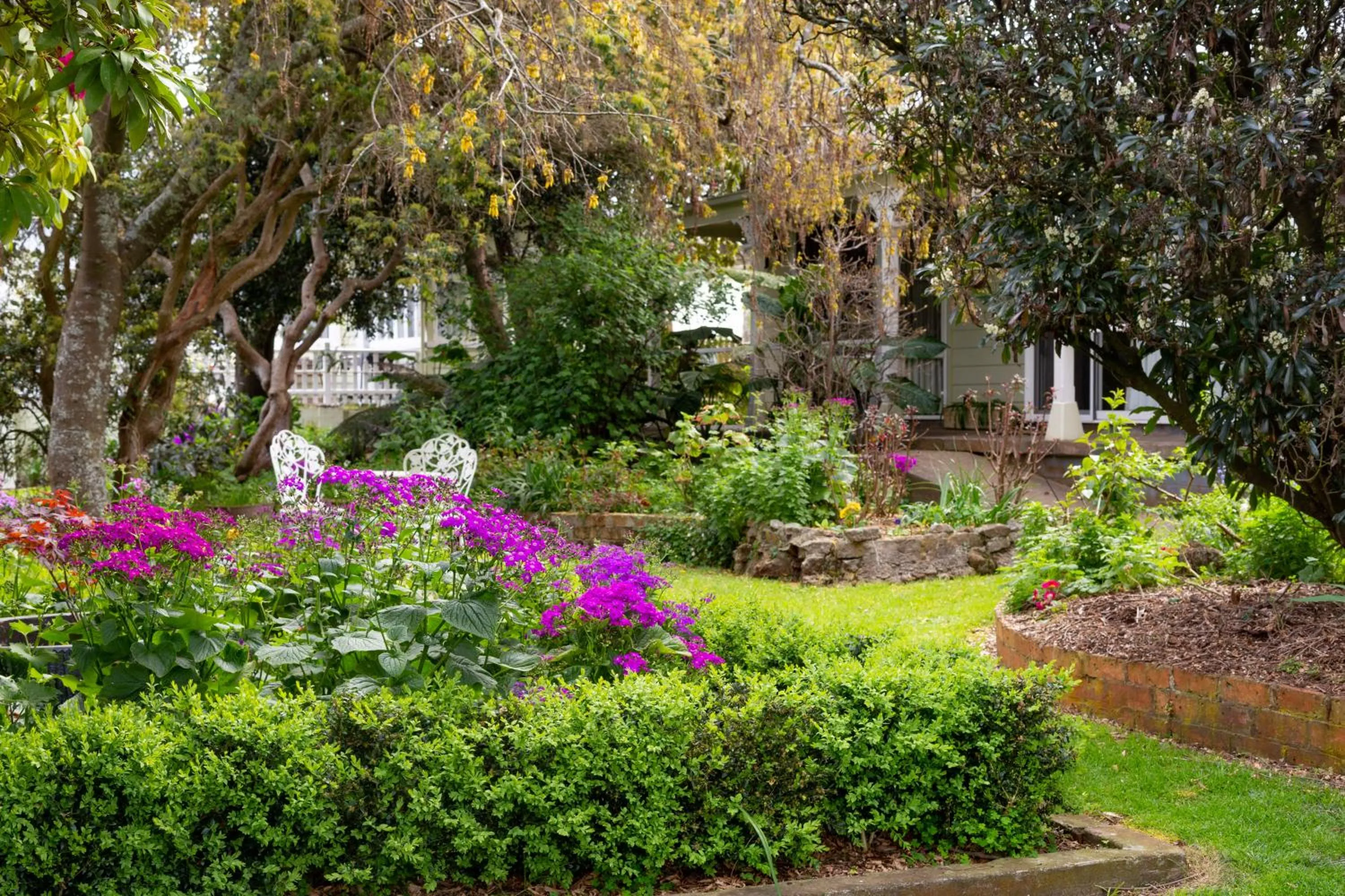 Garden in Anabel's of Scottsdale