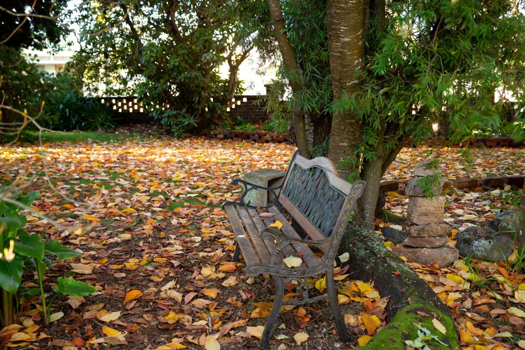 Garden in Anabel's of Scottsdale