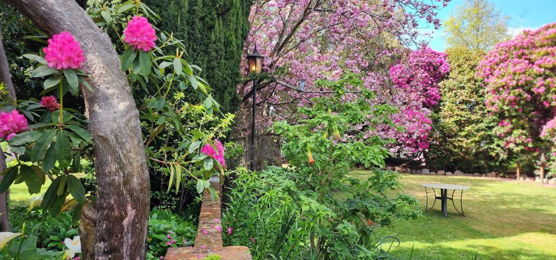 Garden in Anabel's of Scottsdale