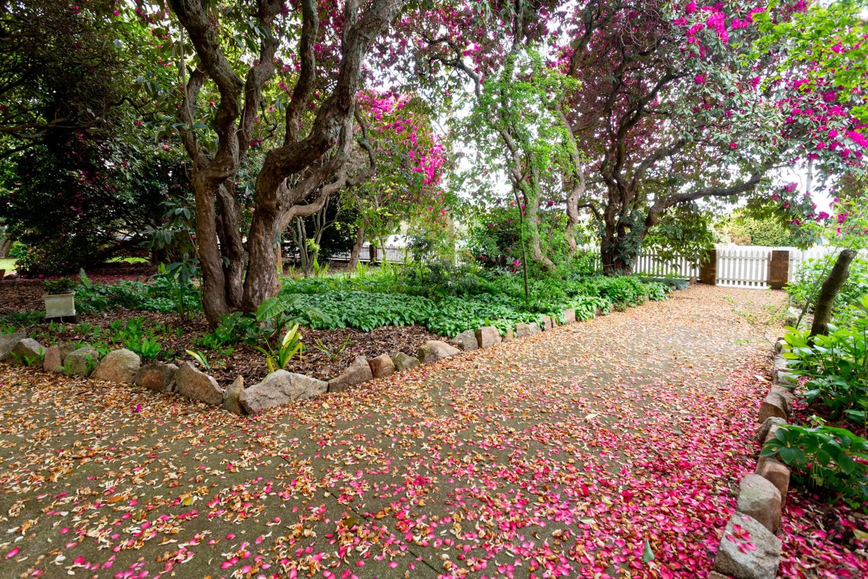 Garden in Anabel's of Scottsdale