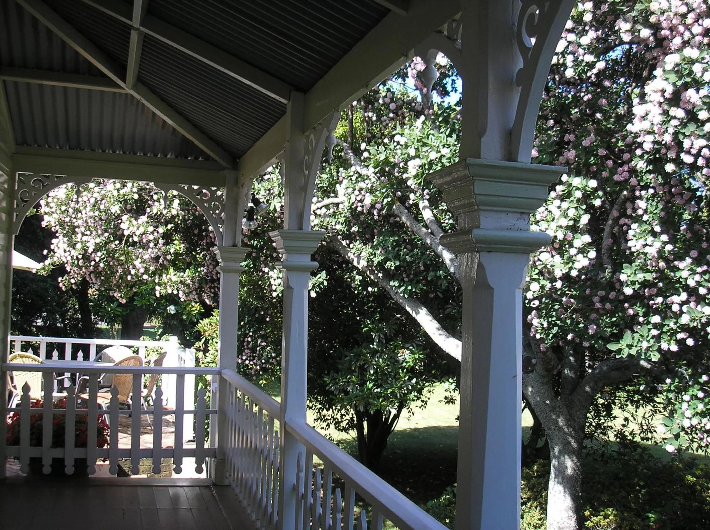 Balcony/Terrace in Anabel's of Scottsdale