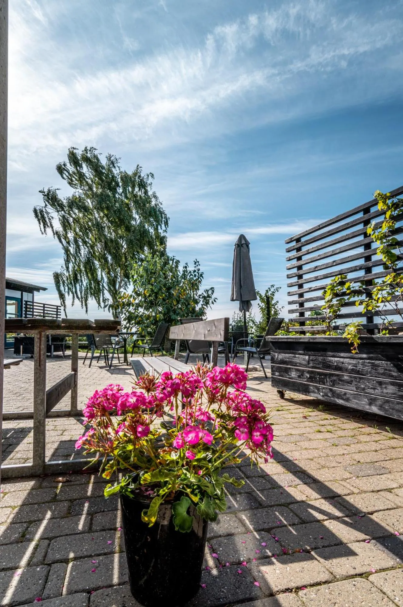 Garden in Danhostel Rønde