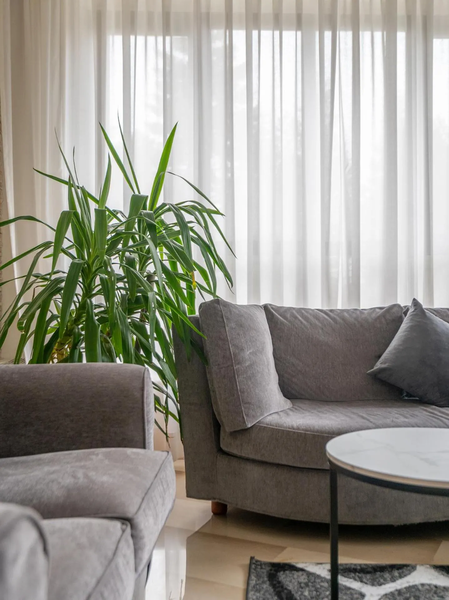 Communal lounge/ TV room in Cipriani Park Hotel