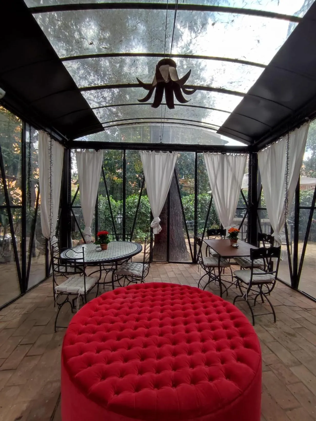 Patio in Hotel Villa Linneo