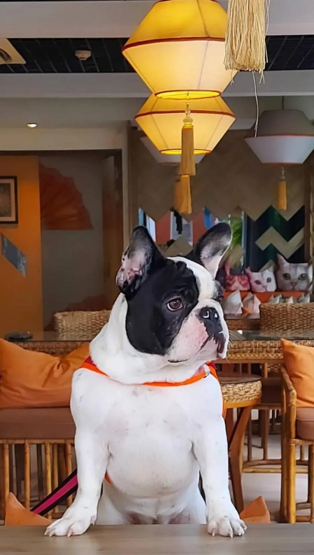 9 SUITE Luxury Boutique Hotel