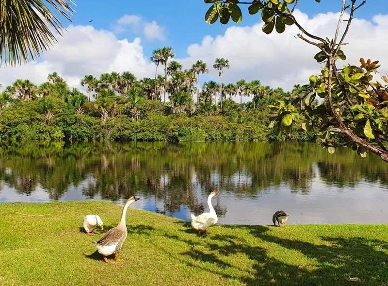 Natural landscape in Pousada Murici