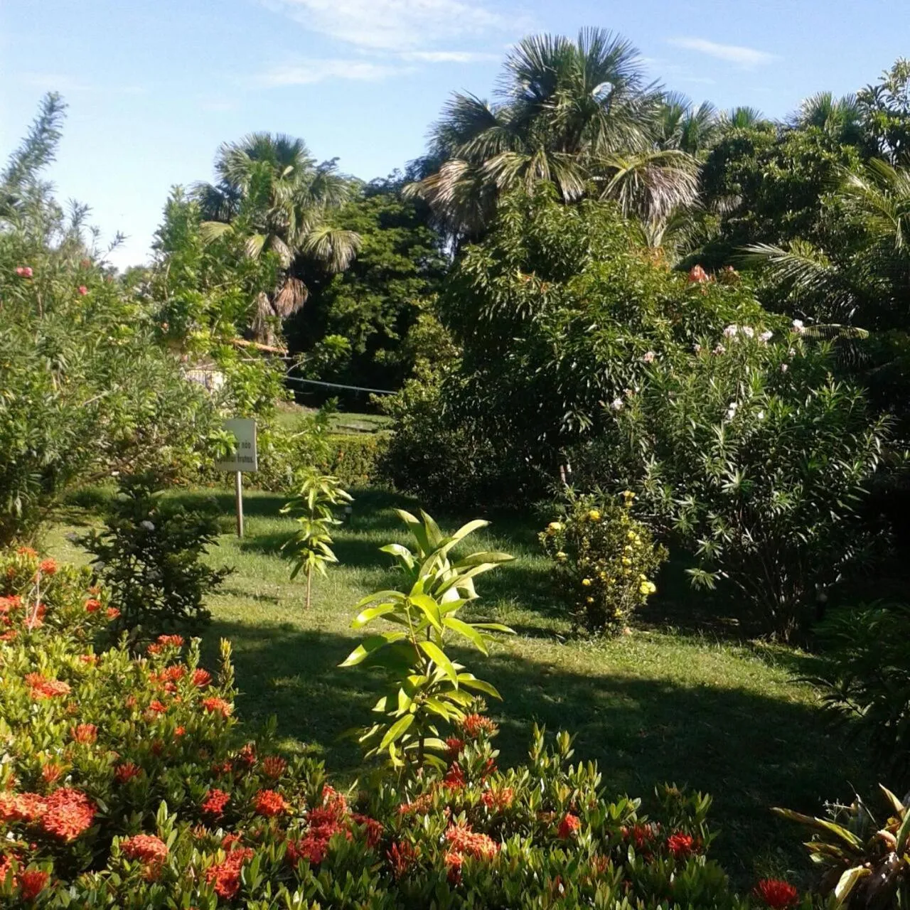 Garden in Pousada Murici