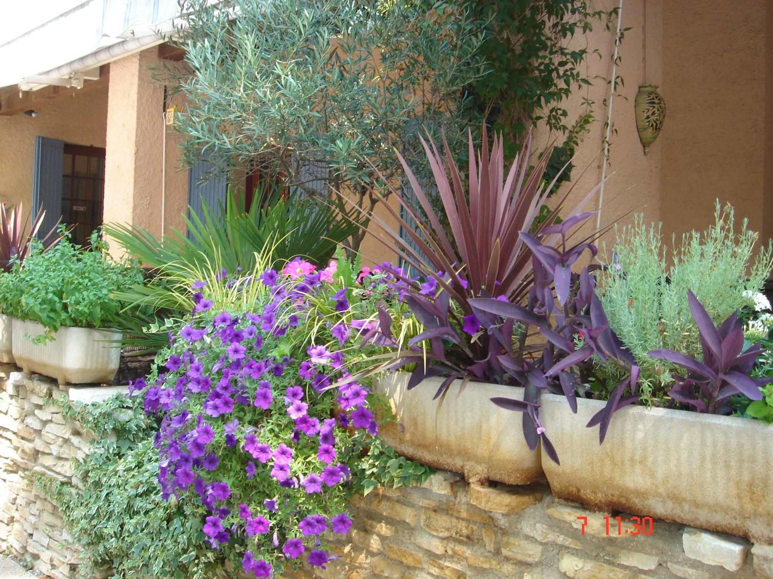 Garden in Hotel Mistral