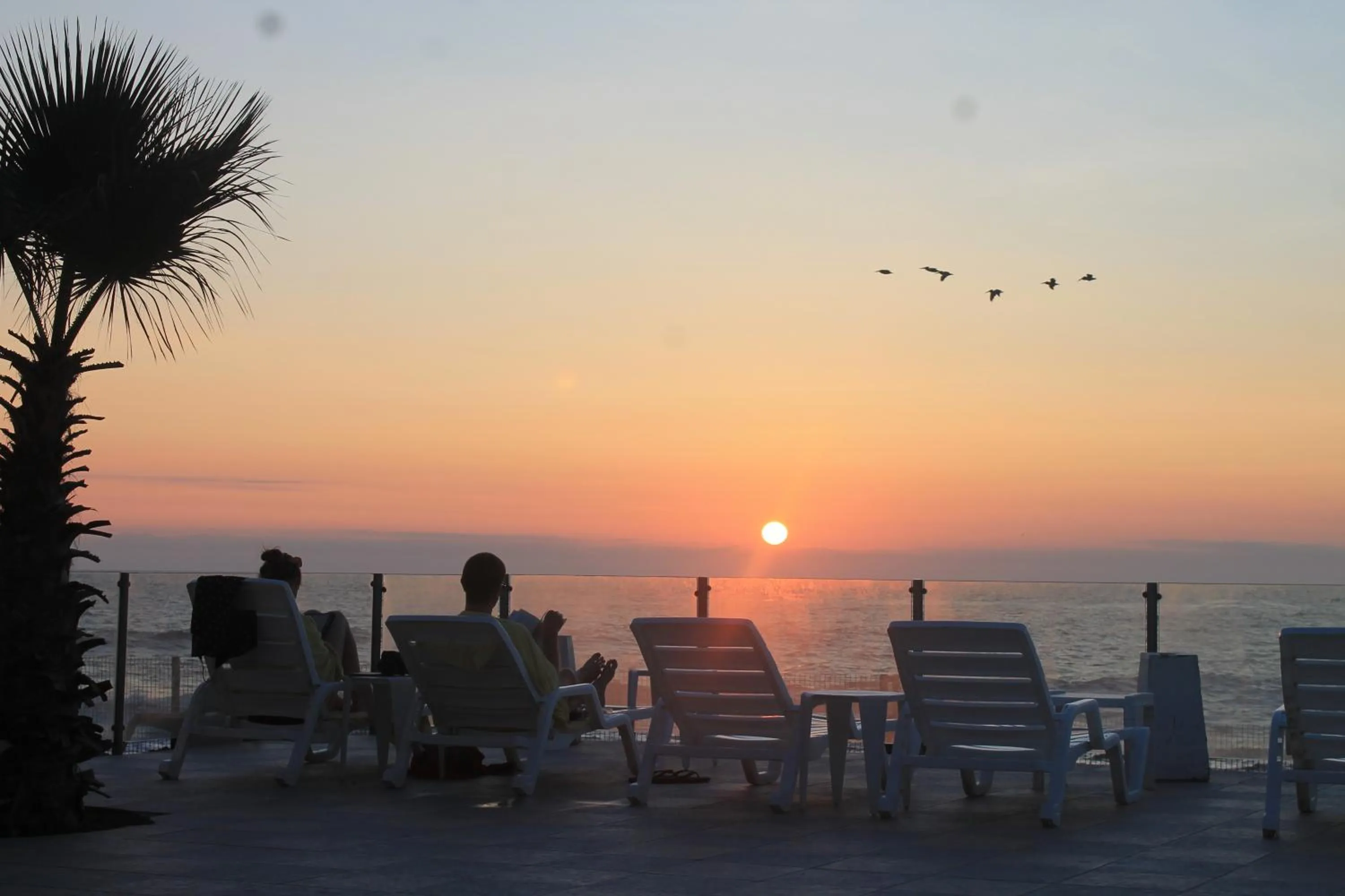 Balcony/Terrace in Panamericana Hotel Arica