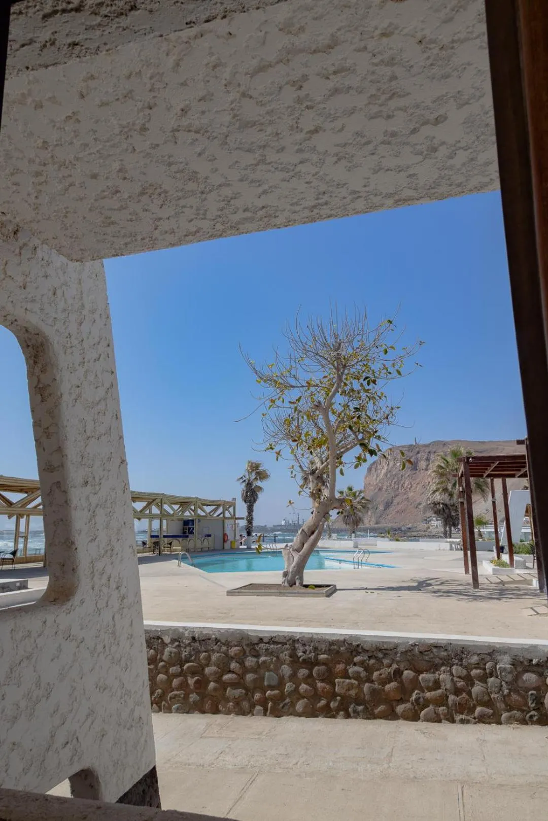 Garden view in Panamericana Hotel Arica