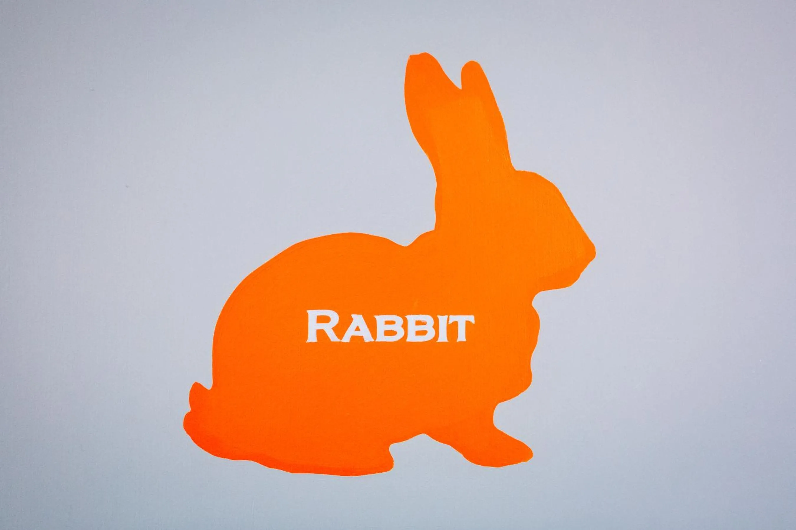 Bed in Bampton Townhouse