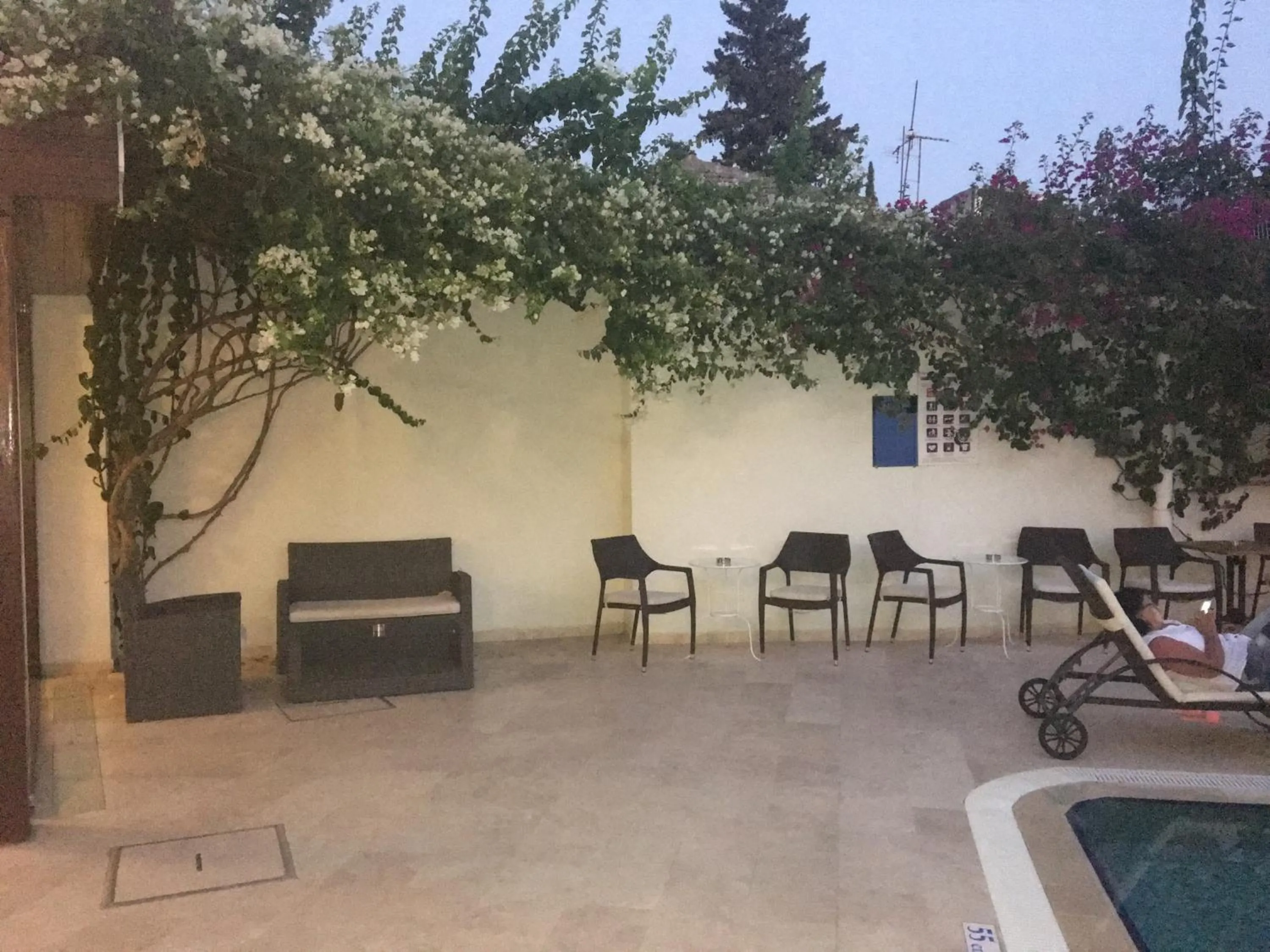 Garden in Asmin Hotel Bodrum