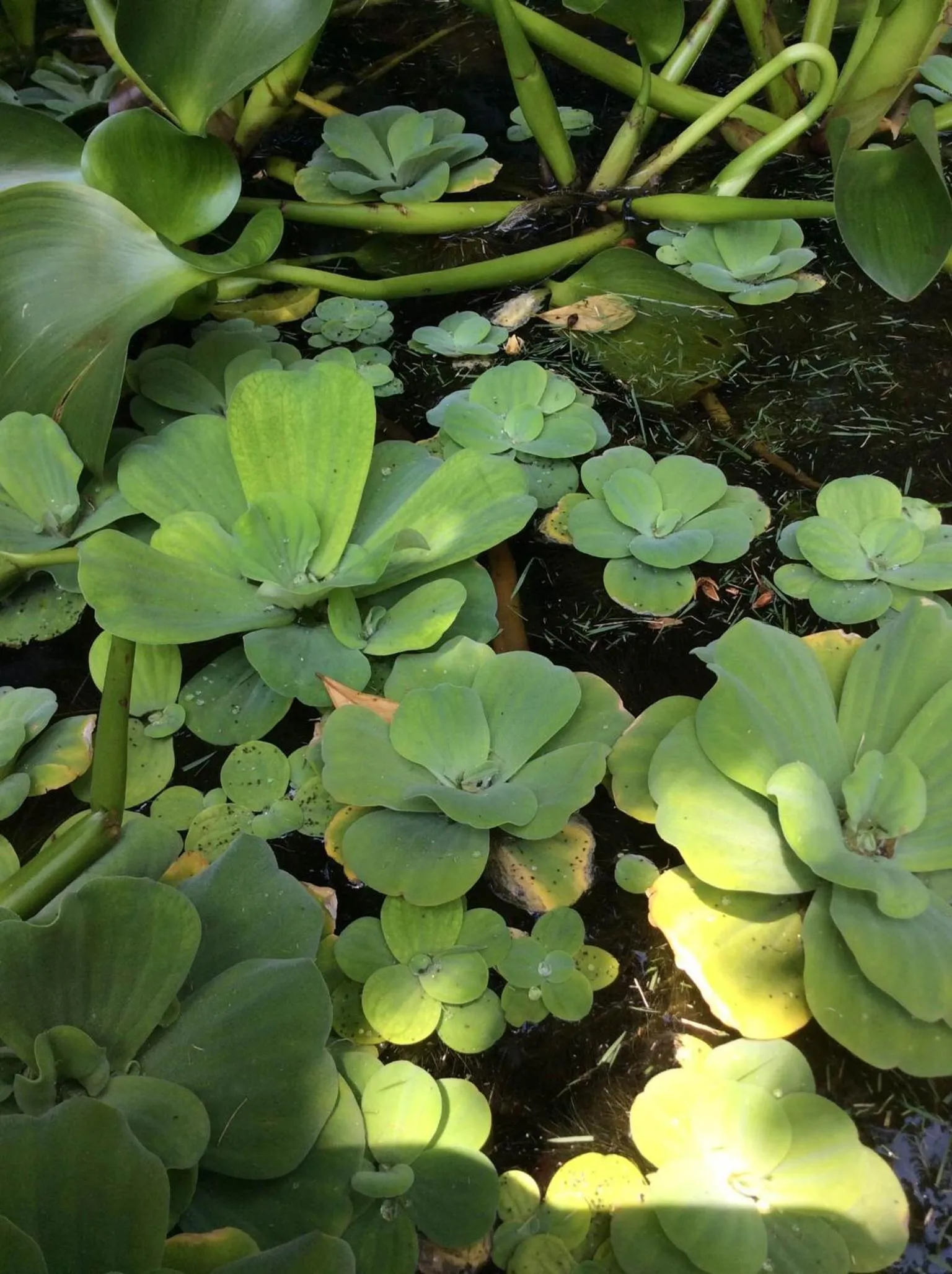 Other in Pousada Oasis