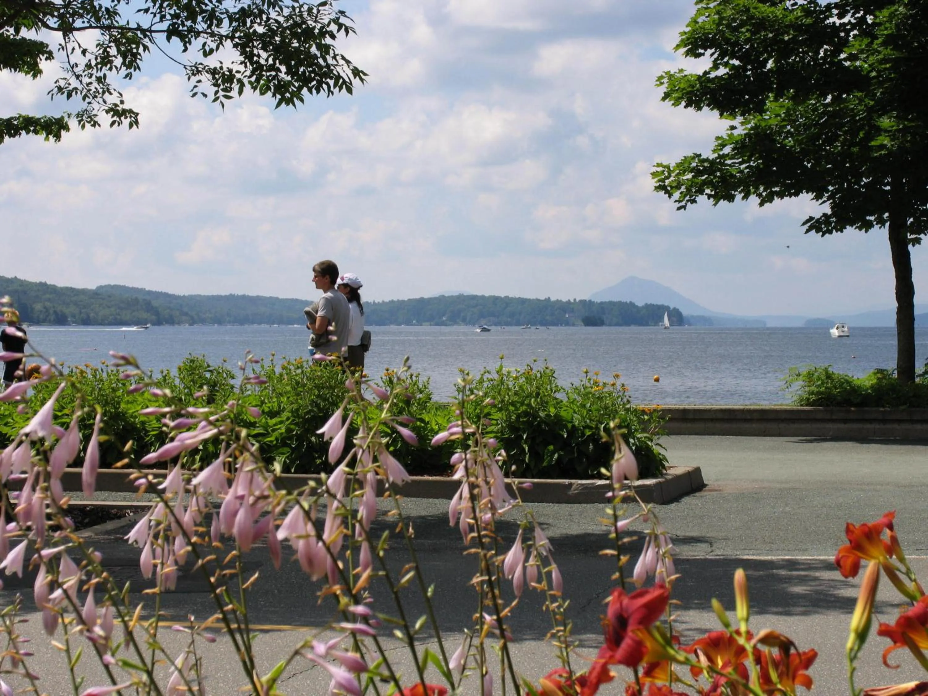 Natural landscape in La Belle Victorienne