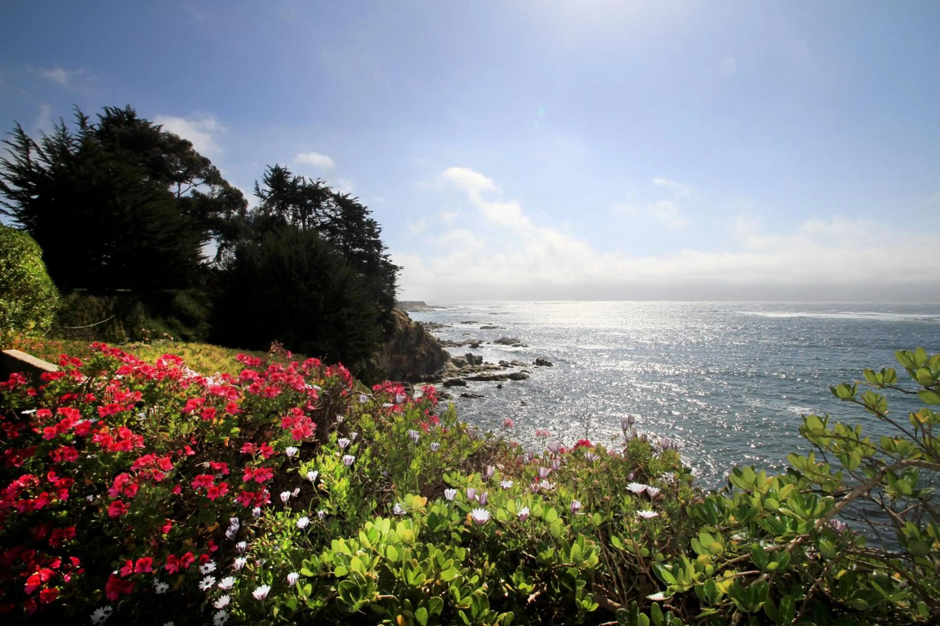 Natural landscape in Yachting Hotel Quintero