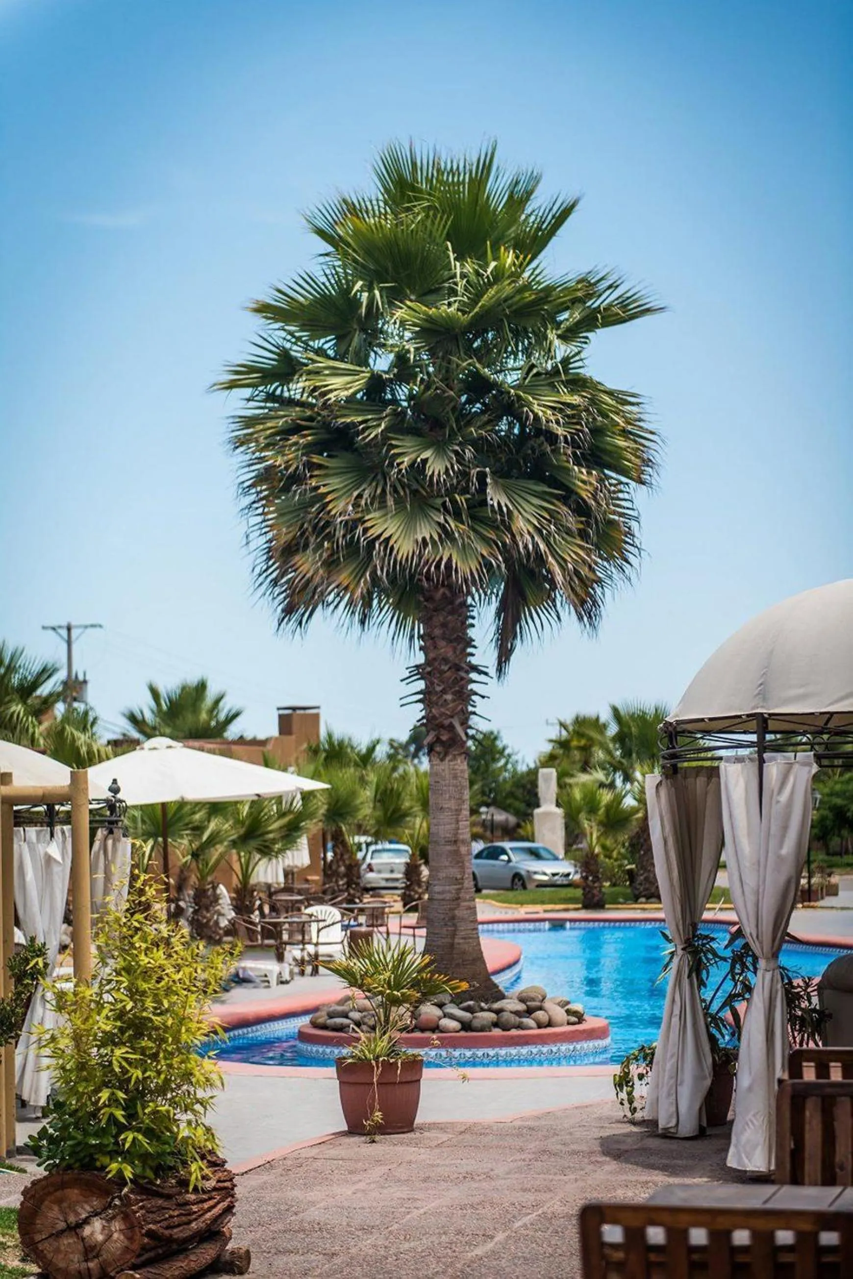 Swimming pool in Hotel Serena Suite