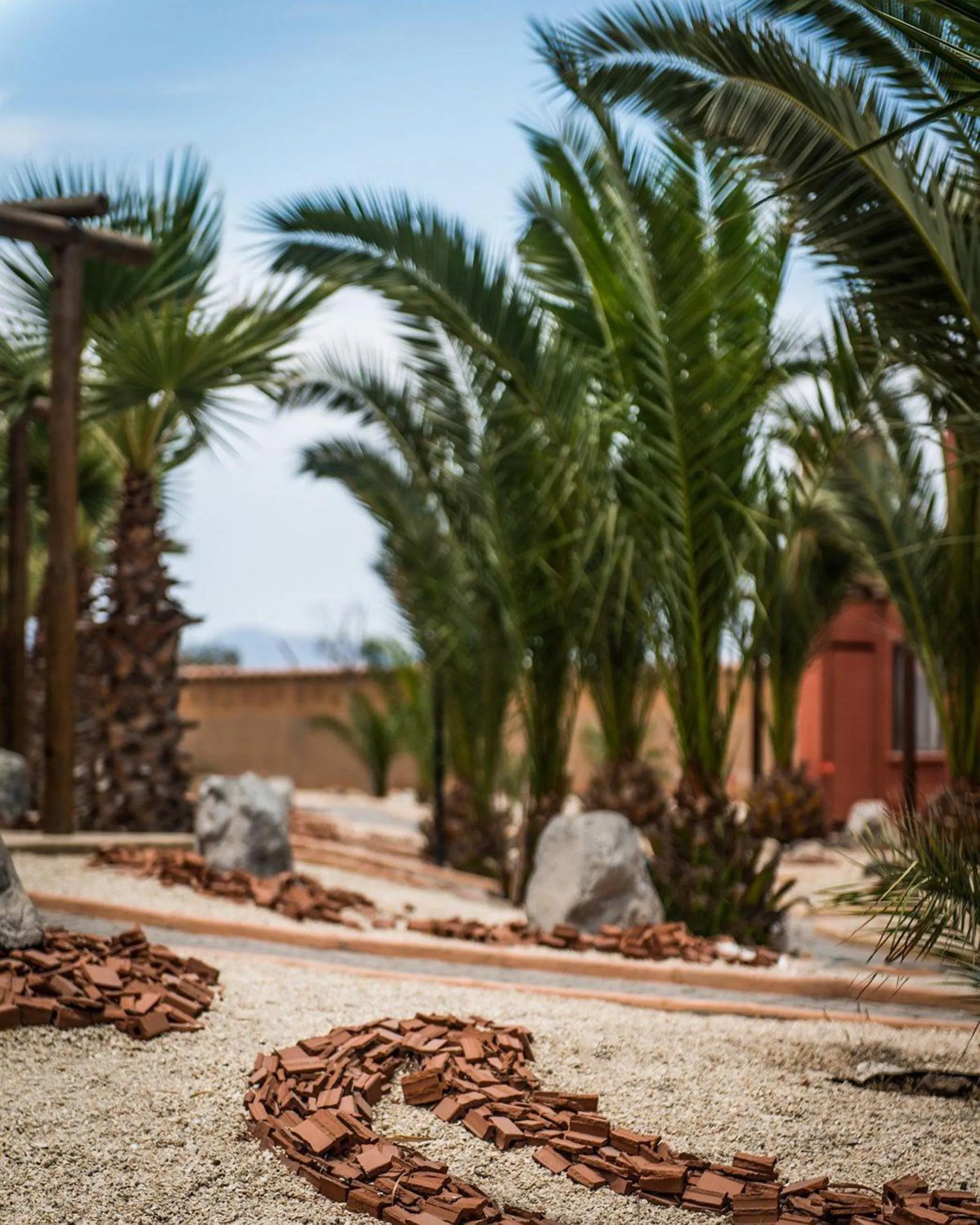 Garden in Hotel Serena Suite