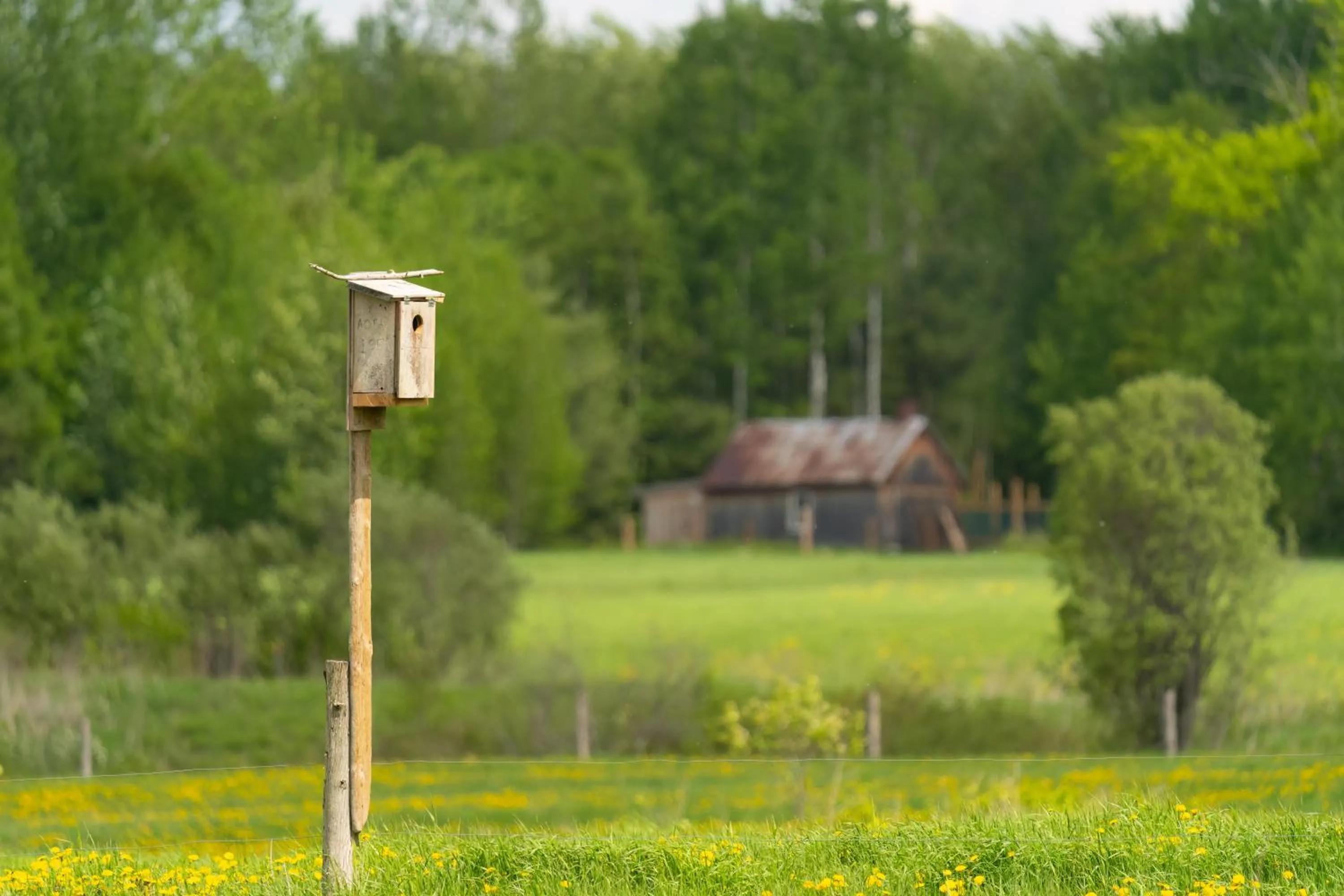Garden in Le Baluchon Éco-villégiature
