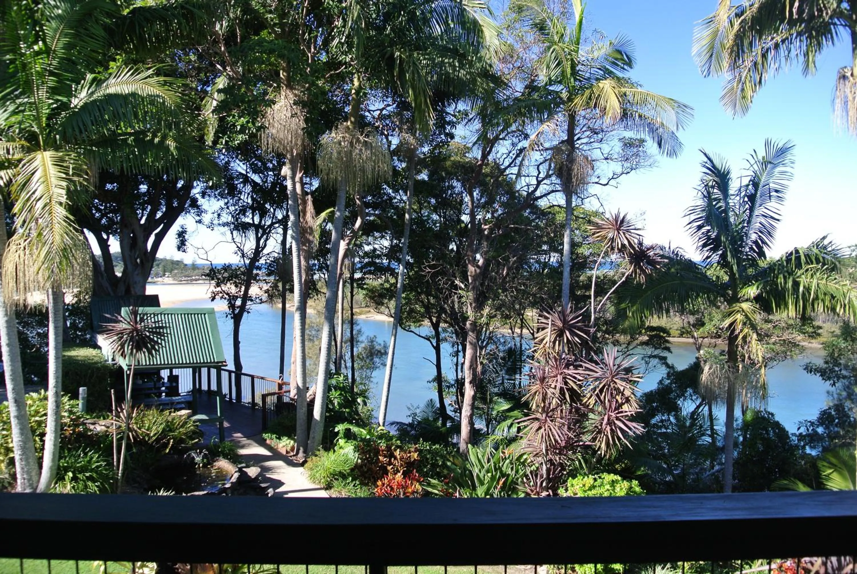 Garden in Motel Miramar