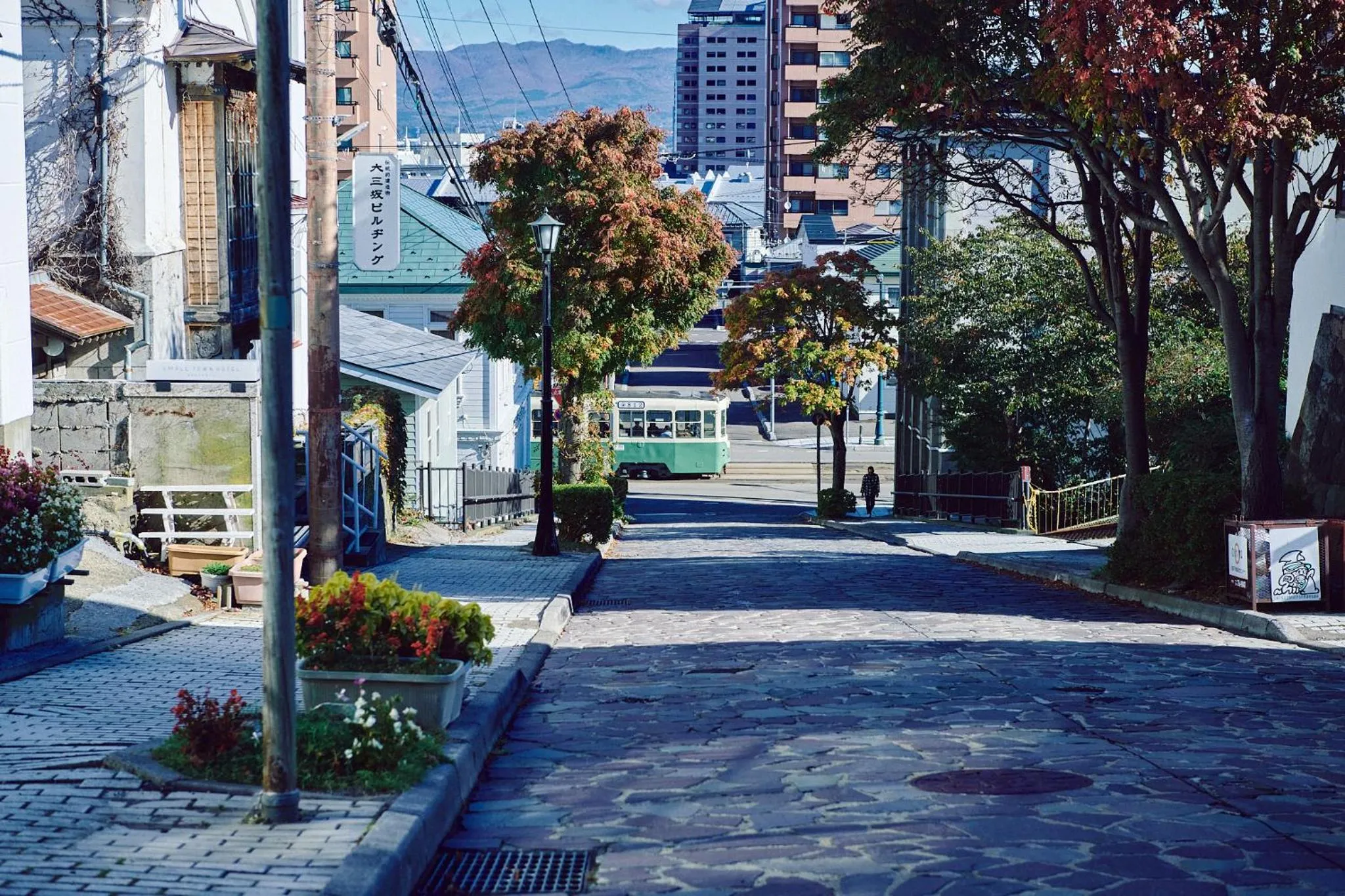 Neighbourhood in SMALL TOWN HOTEL Hakodate