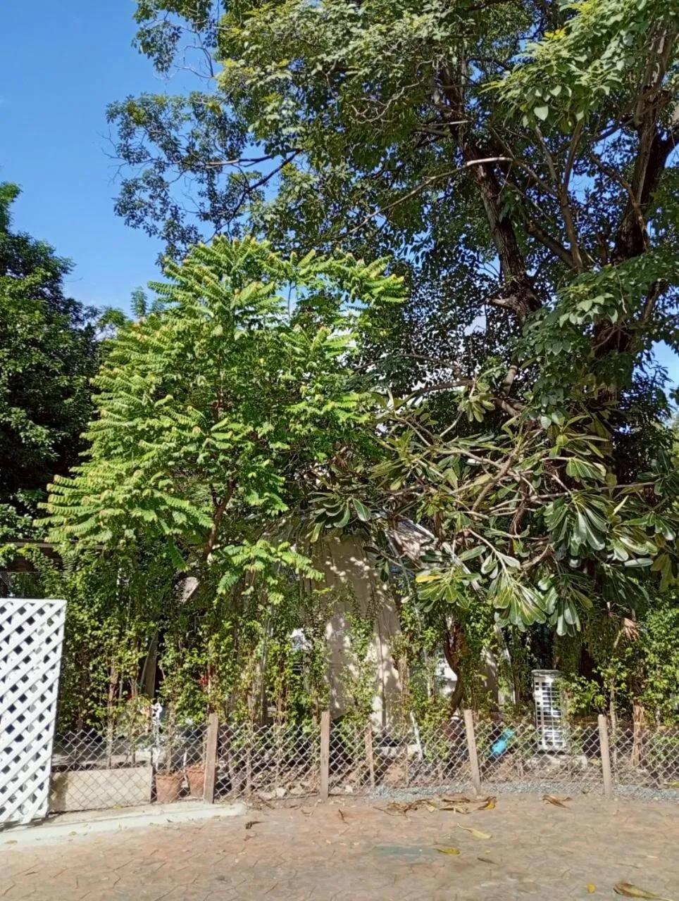 V20 Boutique Jacuzzi Hotel