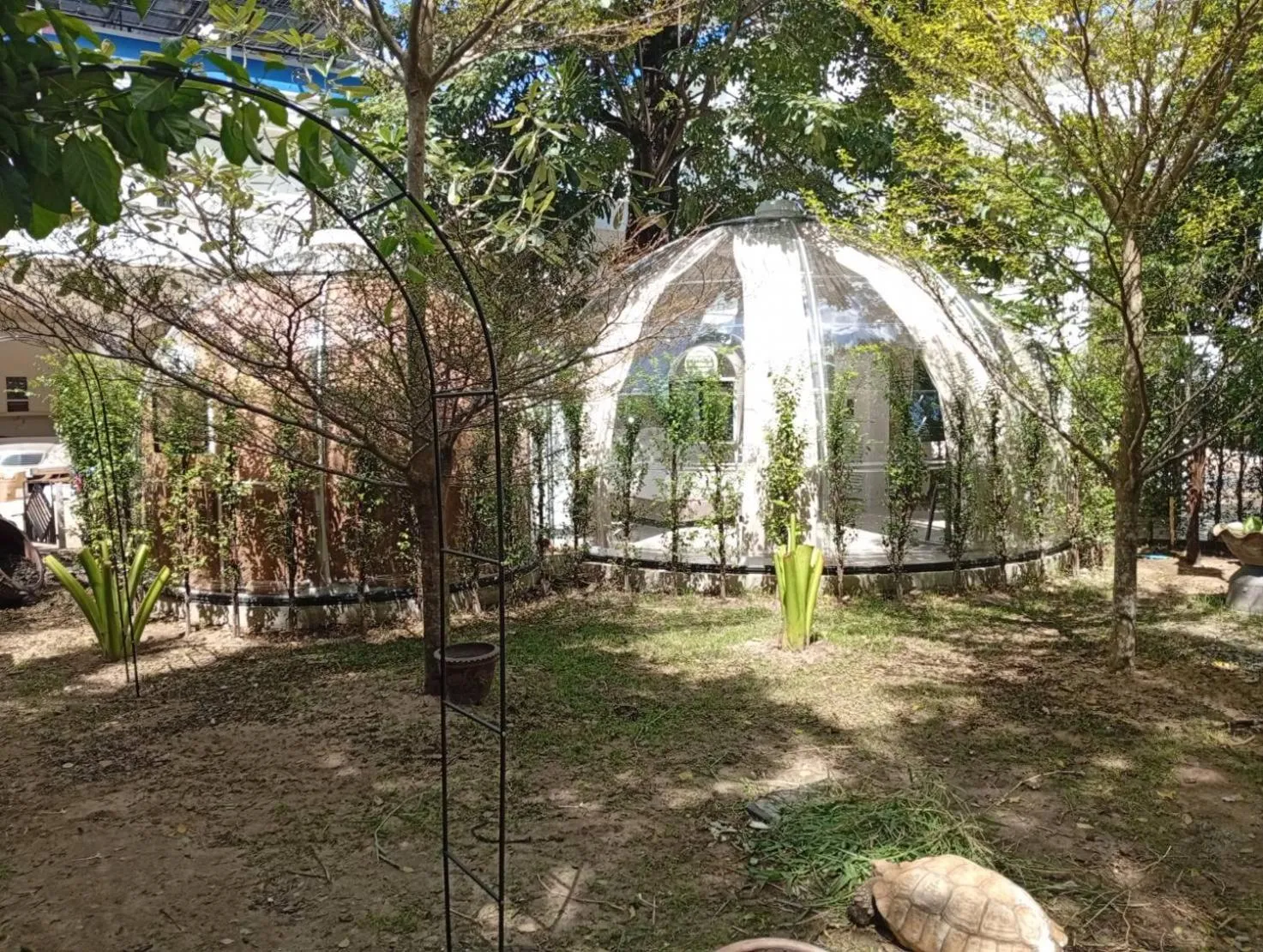 V20 Boutique Jacuzzi Hotel