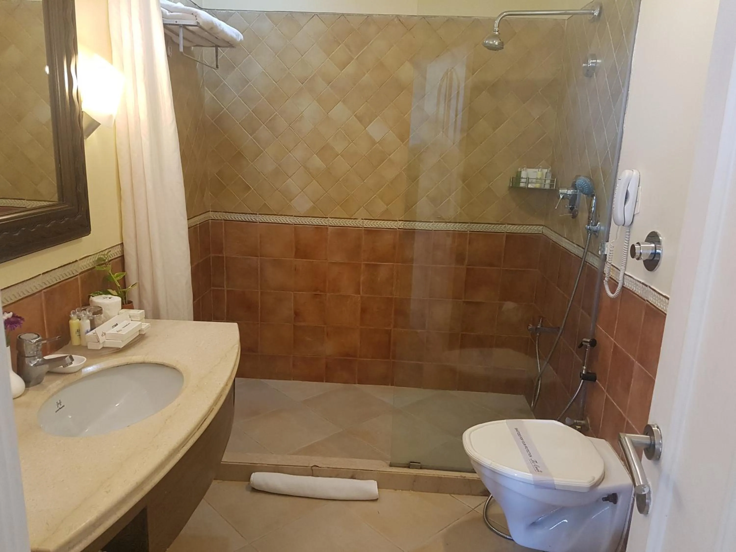 Toilet in The Crown Goa