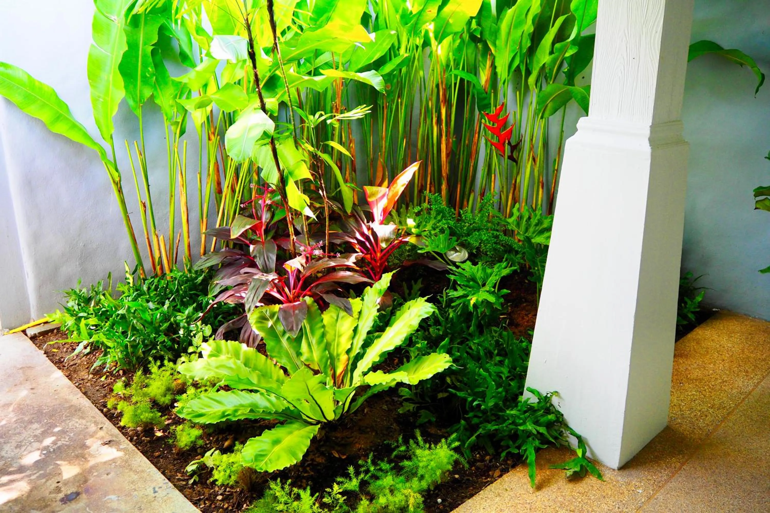 Purin Resort & Restaurant- SHA Plus