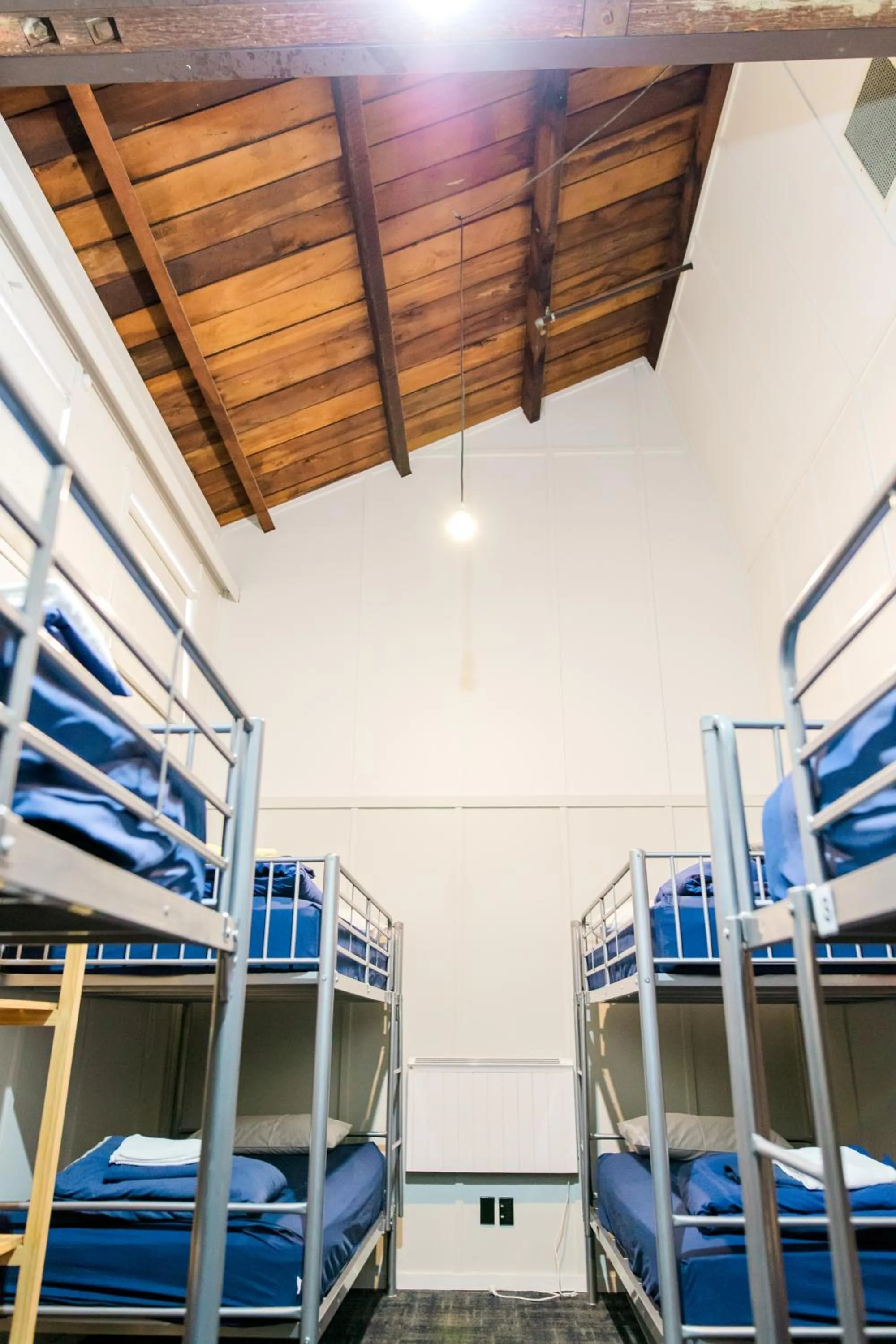 bunk bed, Bed in The Cambridge Hotel & Backpackers