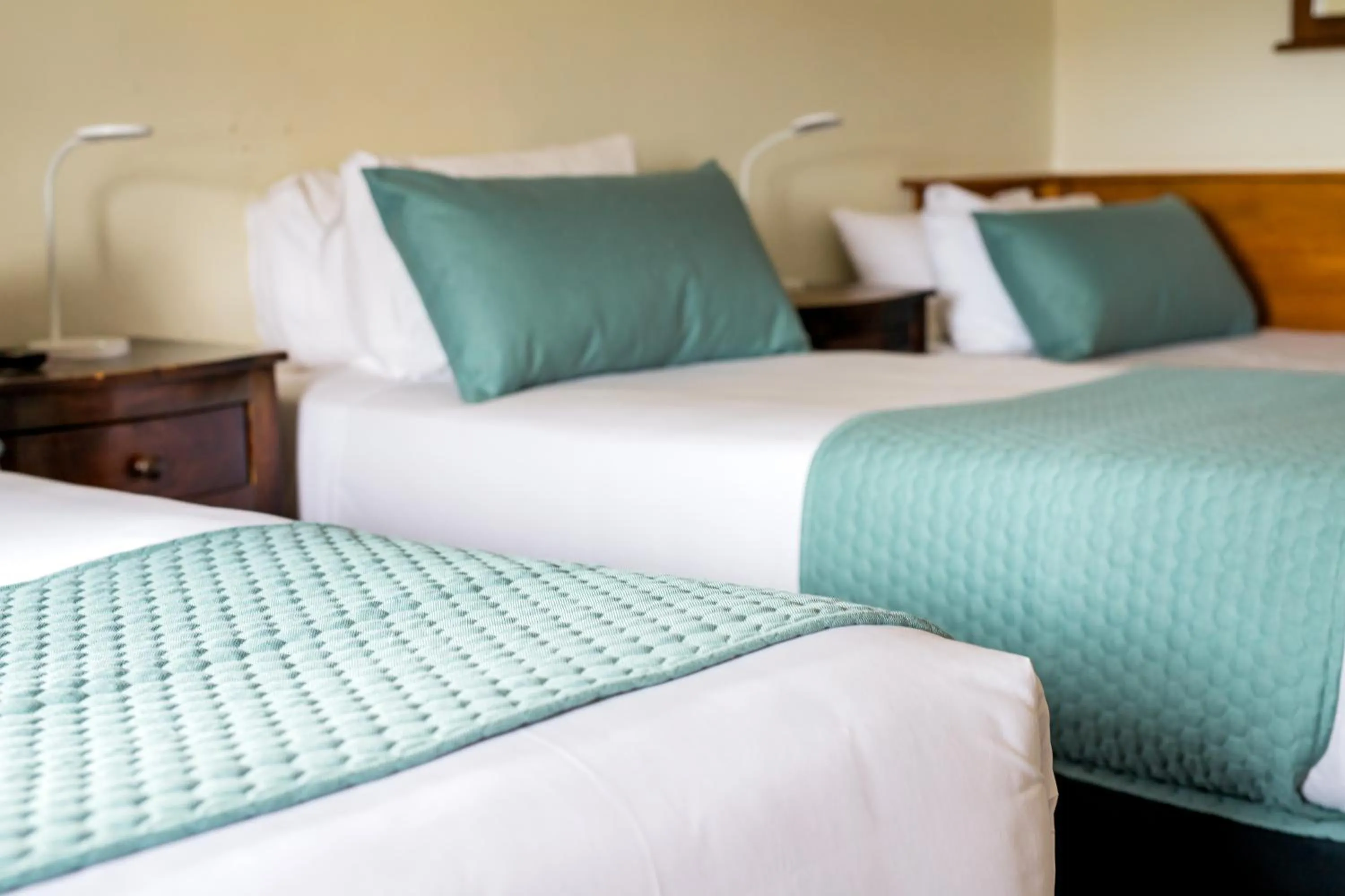 Bed in The Cambridge Hotel & Backpackers