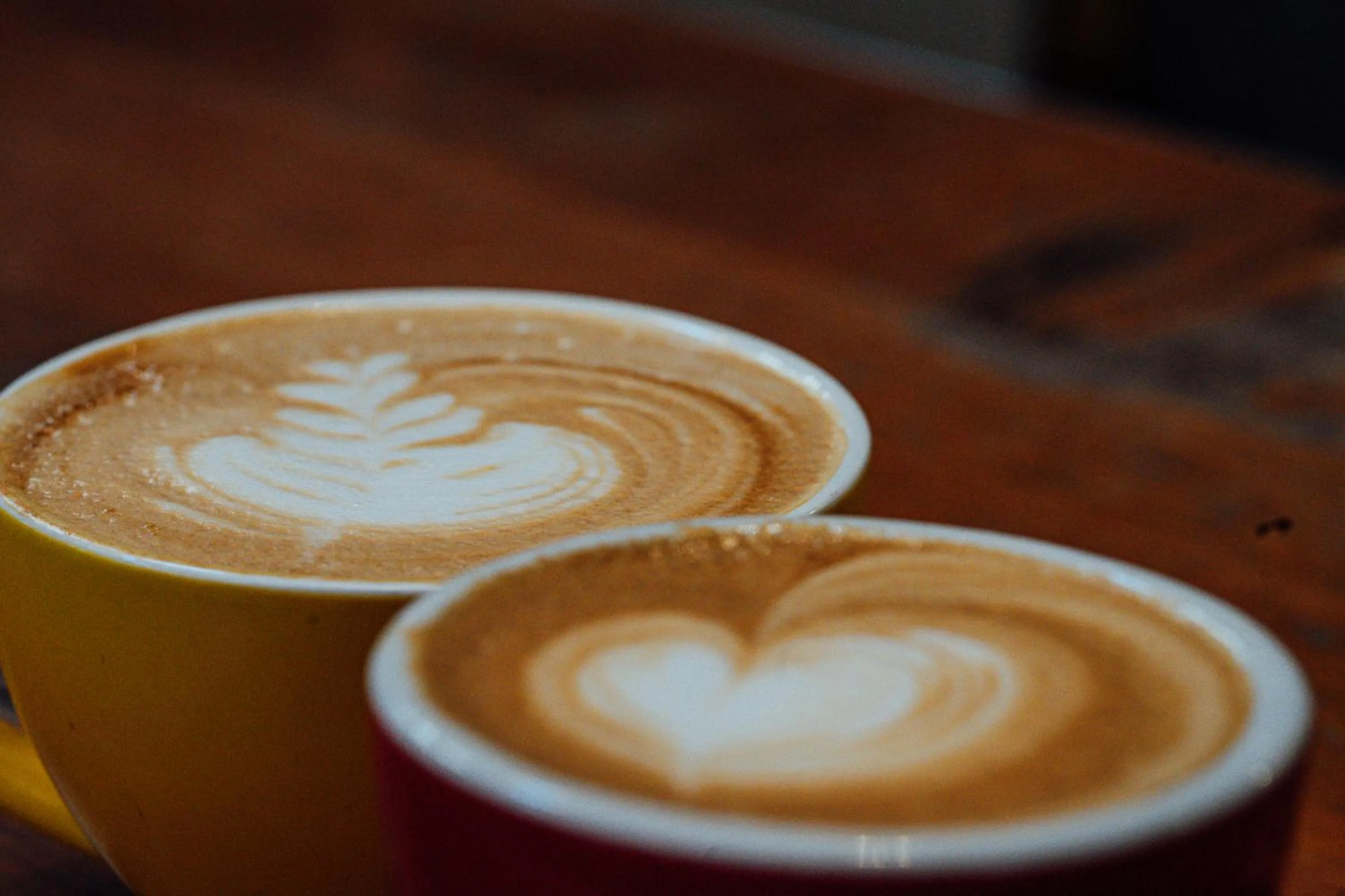 Lounge or bar in The Cambridge Hotel & Backpackers