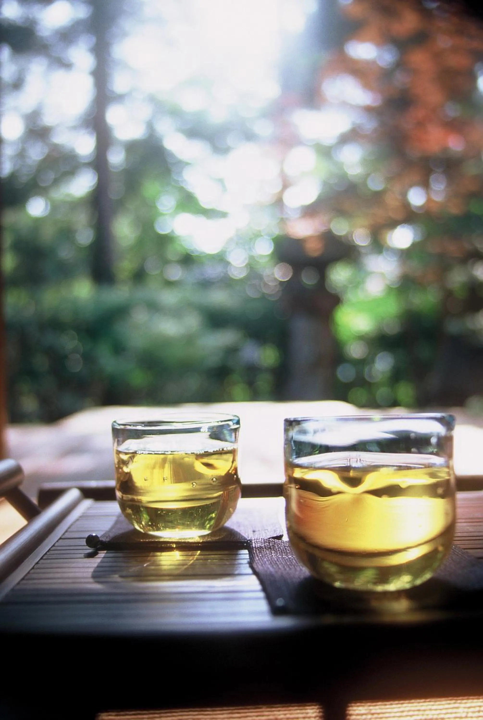 Food and drinks in Yoshidaya Sannoukaku