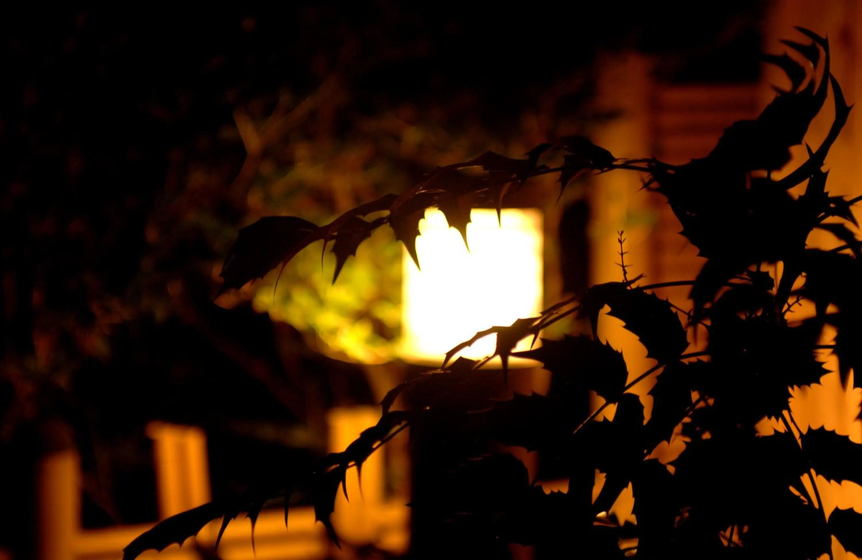 Night in Yoshidaya Sannoukaku