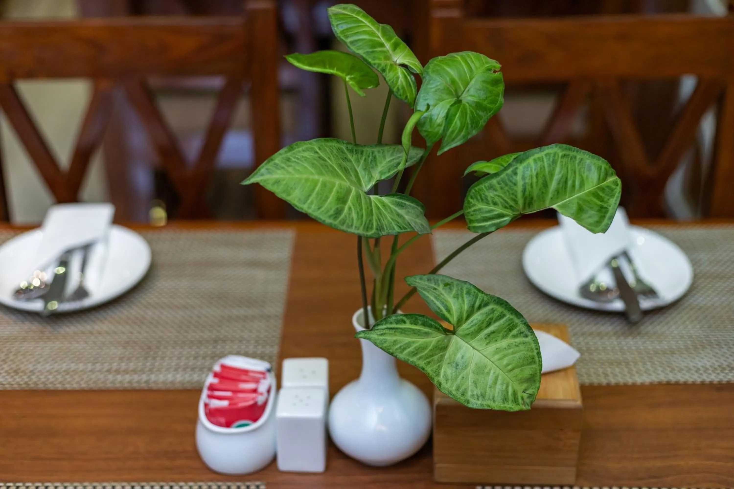 Decorative detail in Hotel Haven O' Ganga