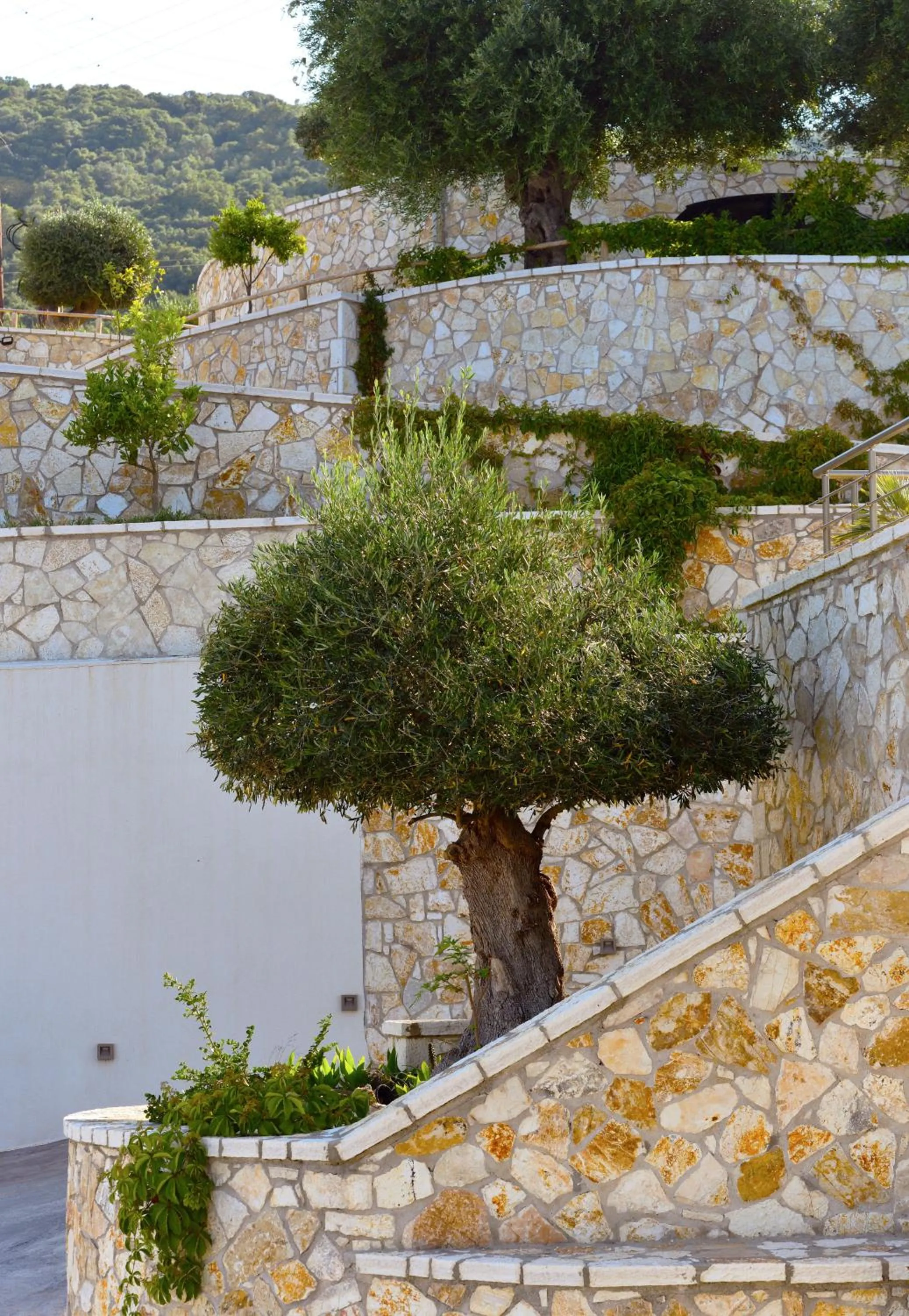 Natural landscape in Prima Vista Beachfront Boutique Hotel