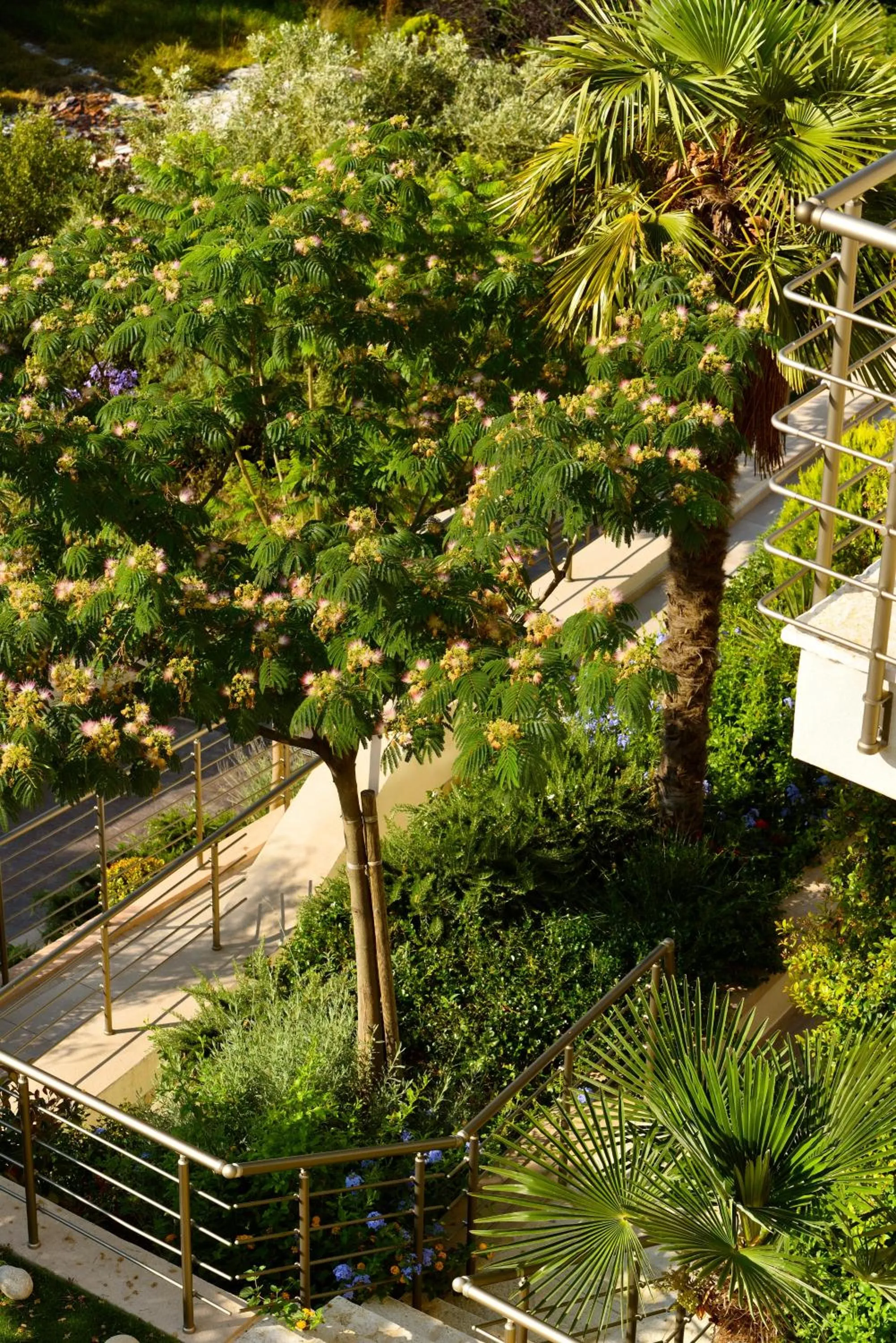 Garden view in Prima Vista Beachfront Boutique Hotel