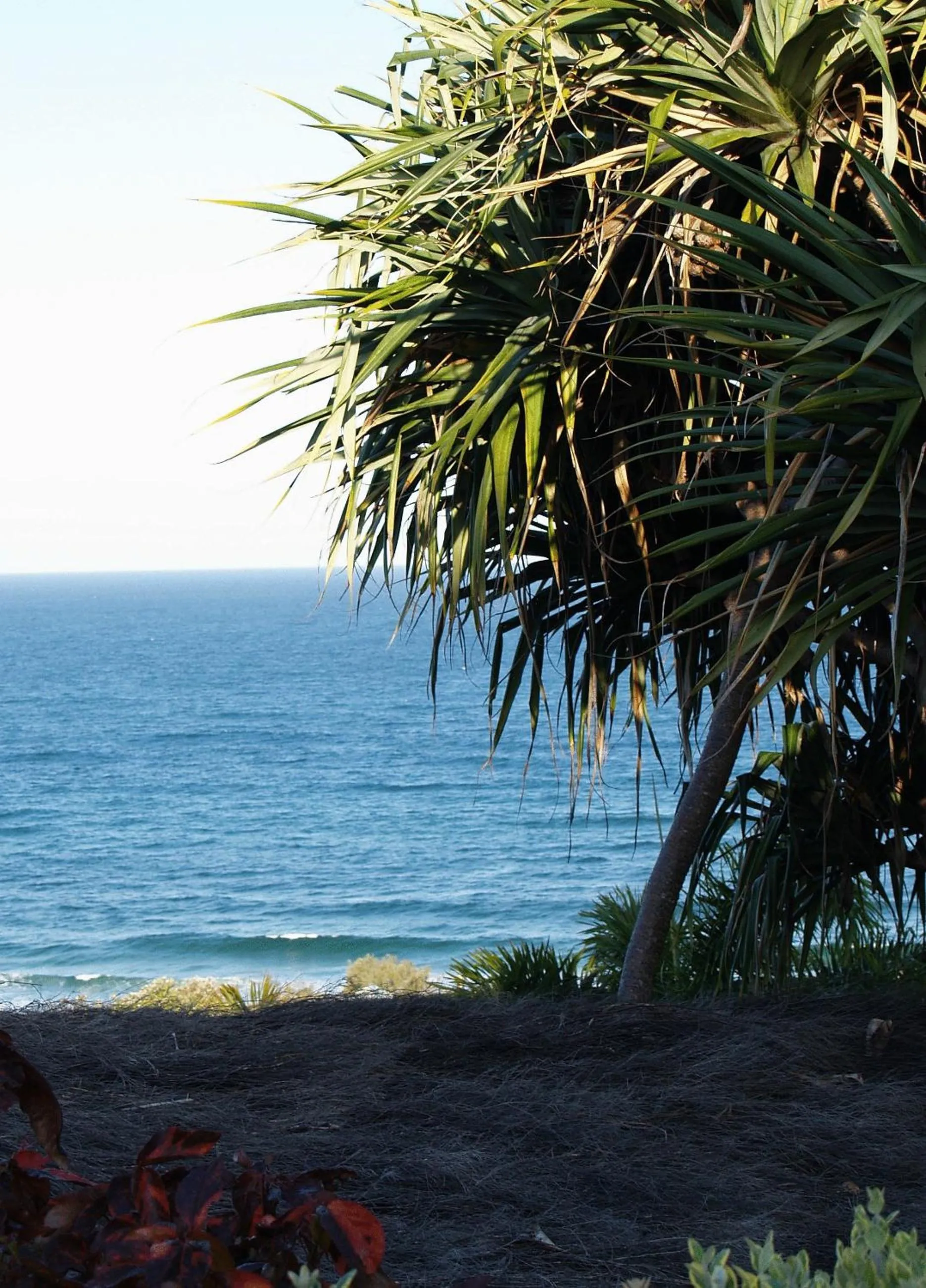 Day in Sunseeker Holiday Apartments