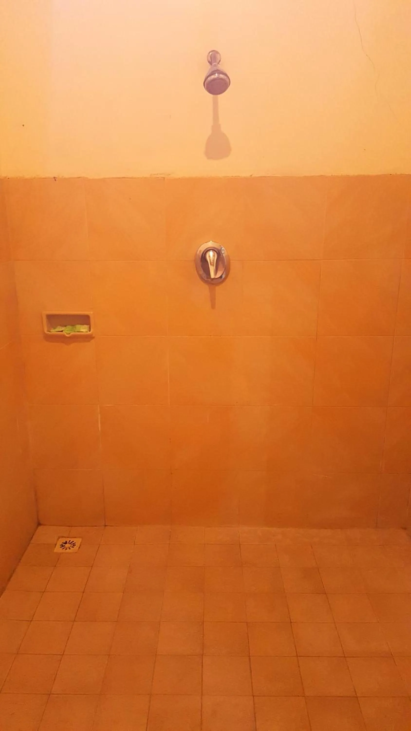 Aman Gati Hotel Lakey