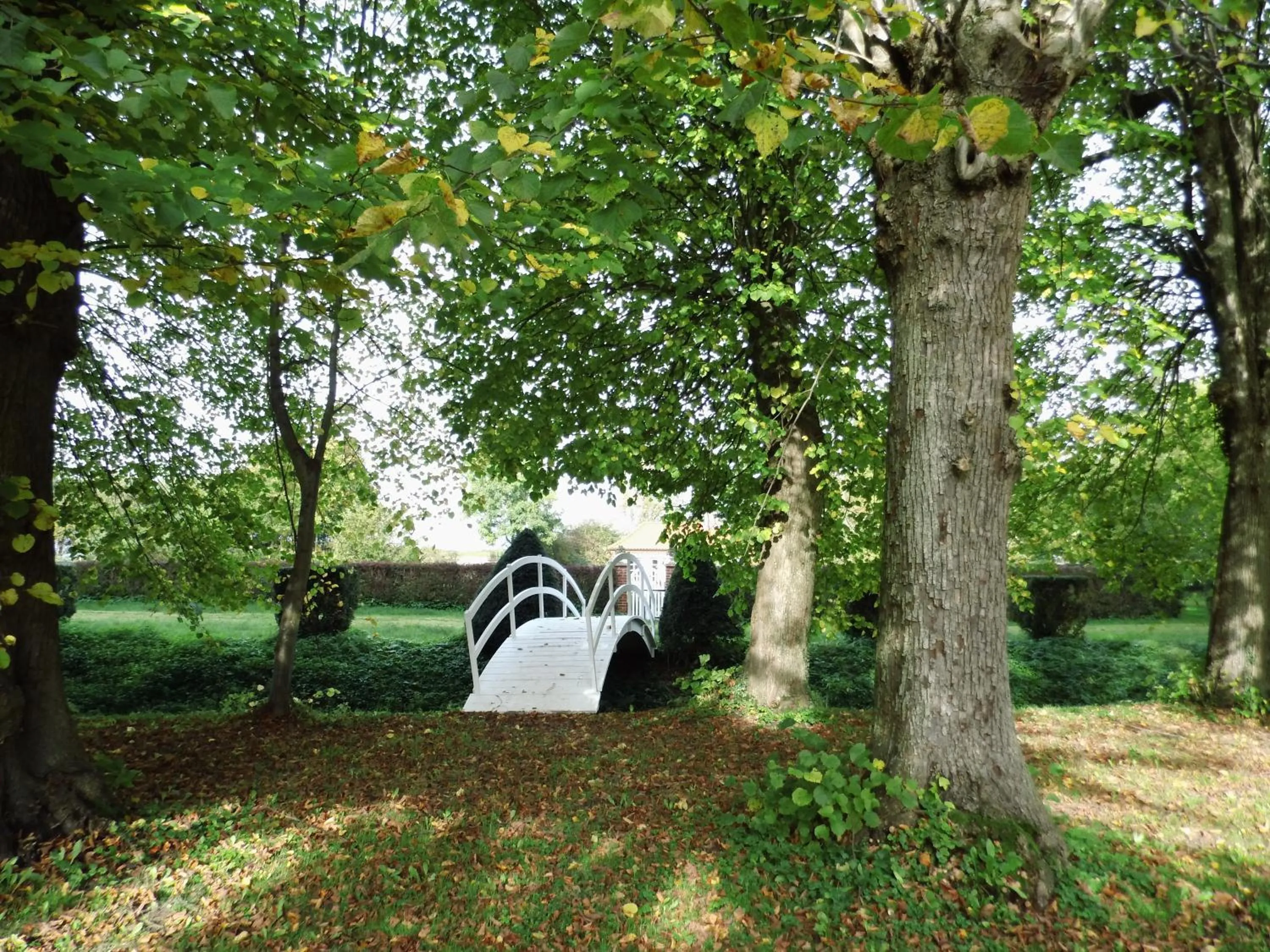 Garden in Herrenhaus Borghorst