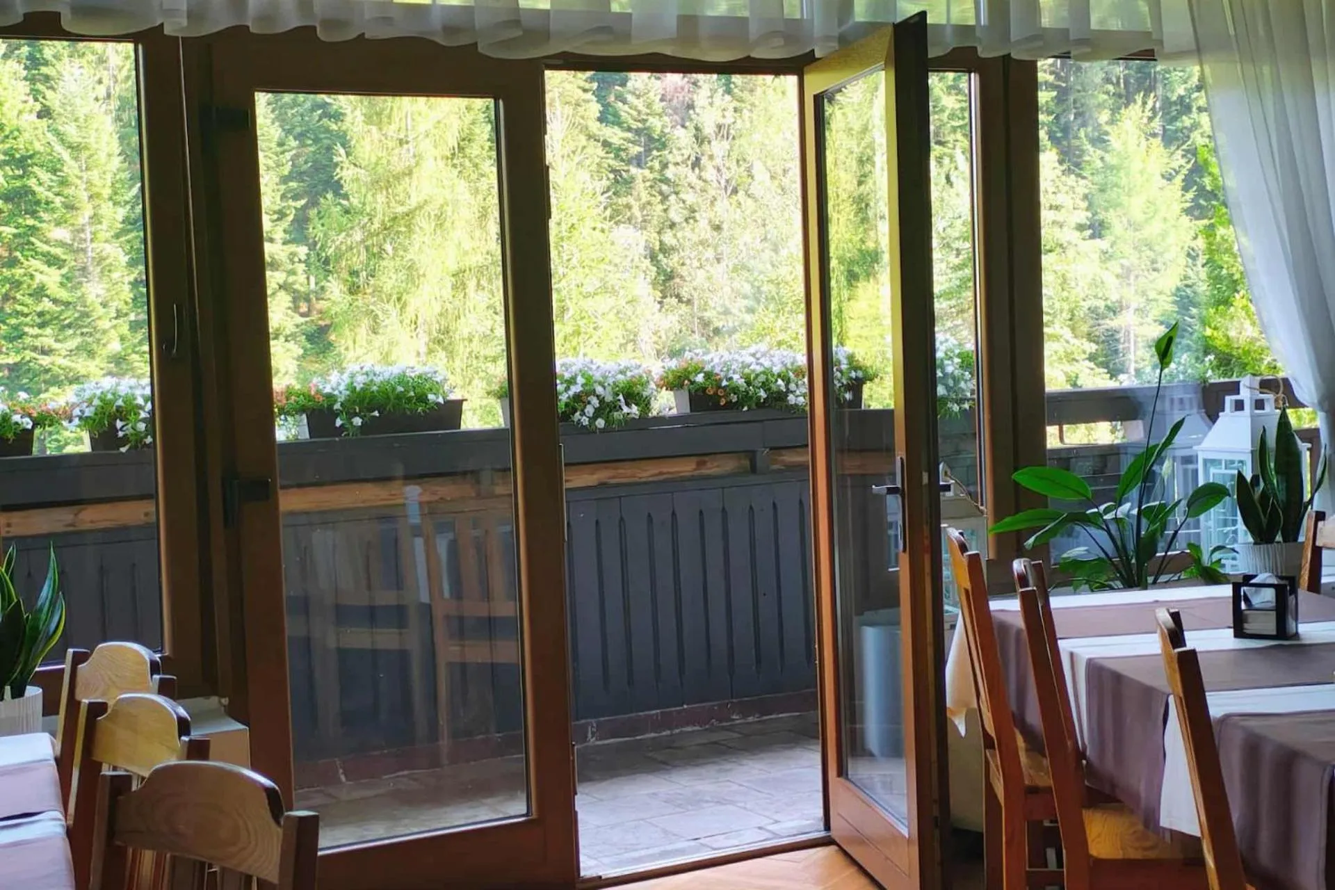 Restaurant/places to eat in Hotel***NAT Piwniczna Zdrój