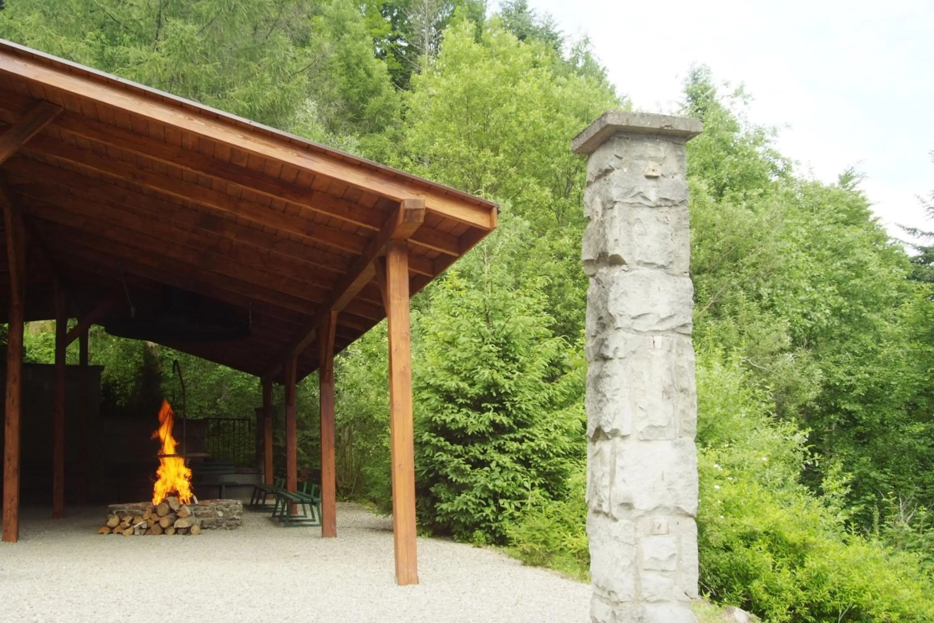 Activities in Hotel***NAT Piwniczna Zdrój