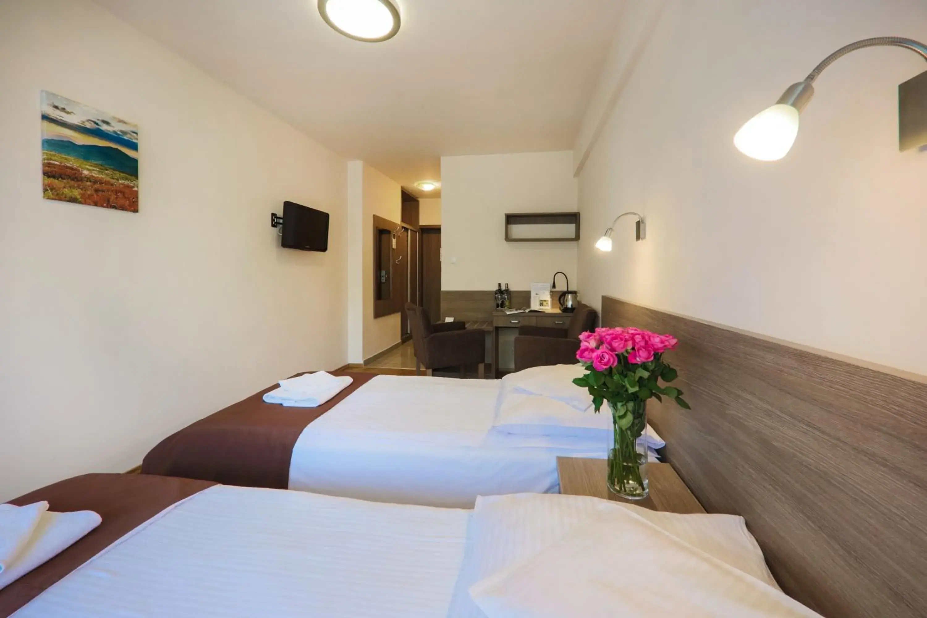 Twin Room - Disability Access in Hotel***NAT Piwniczna Zdrój Twin Room - Disability Access in Hotel***NAT Piwniczna Zdrój