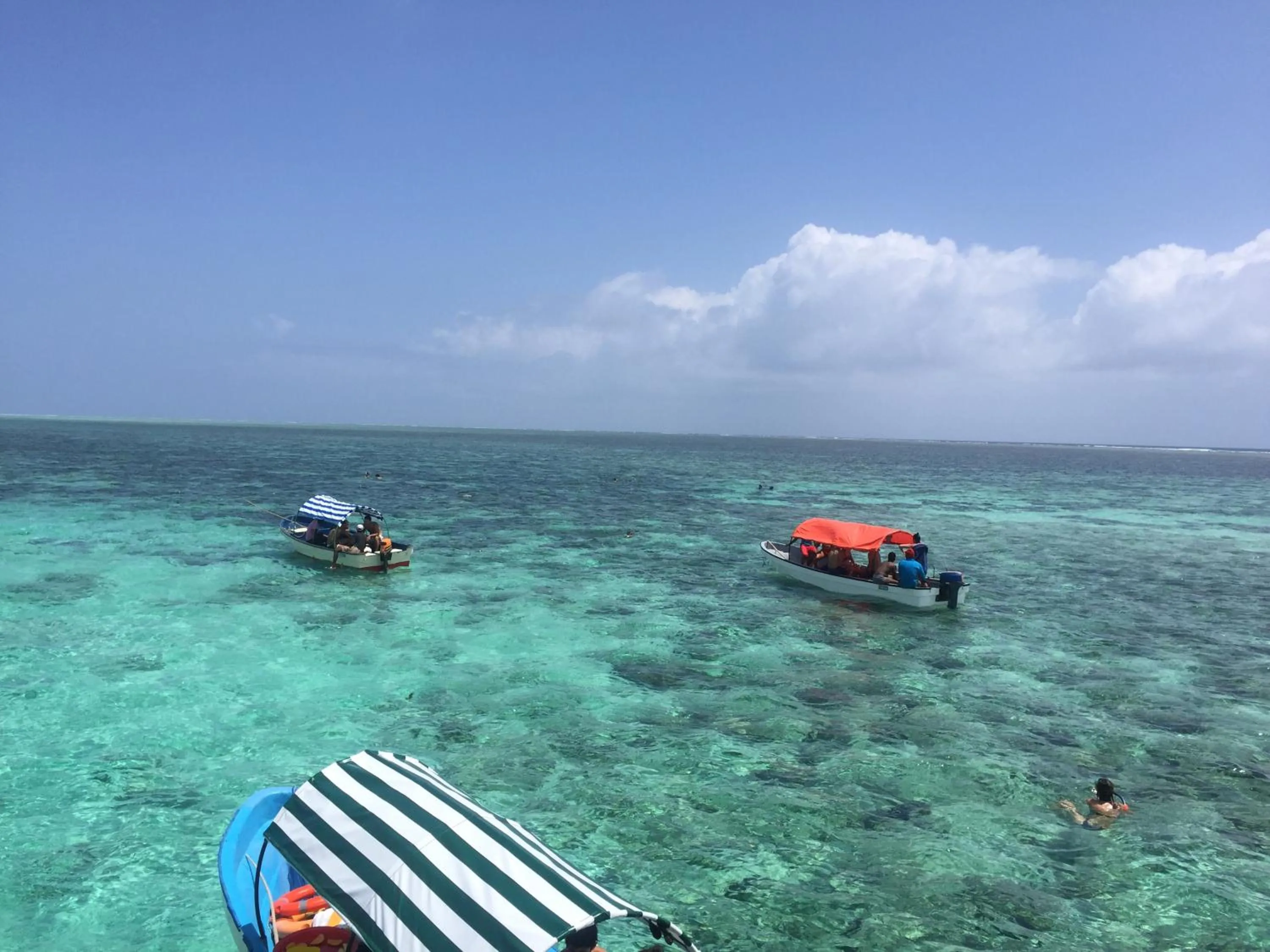 Habibis Bottle House