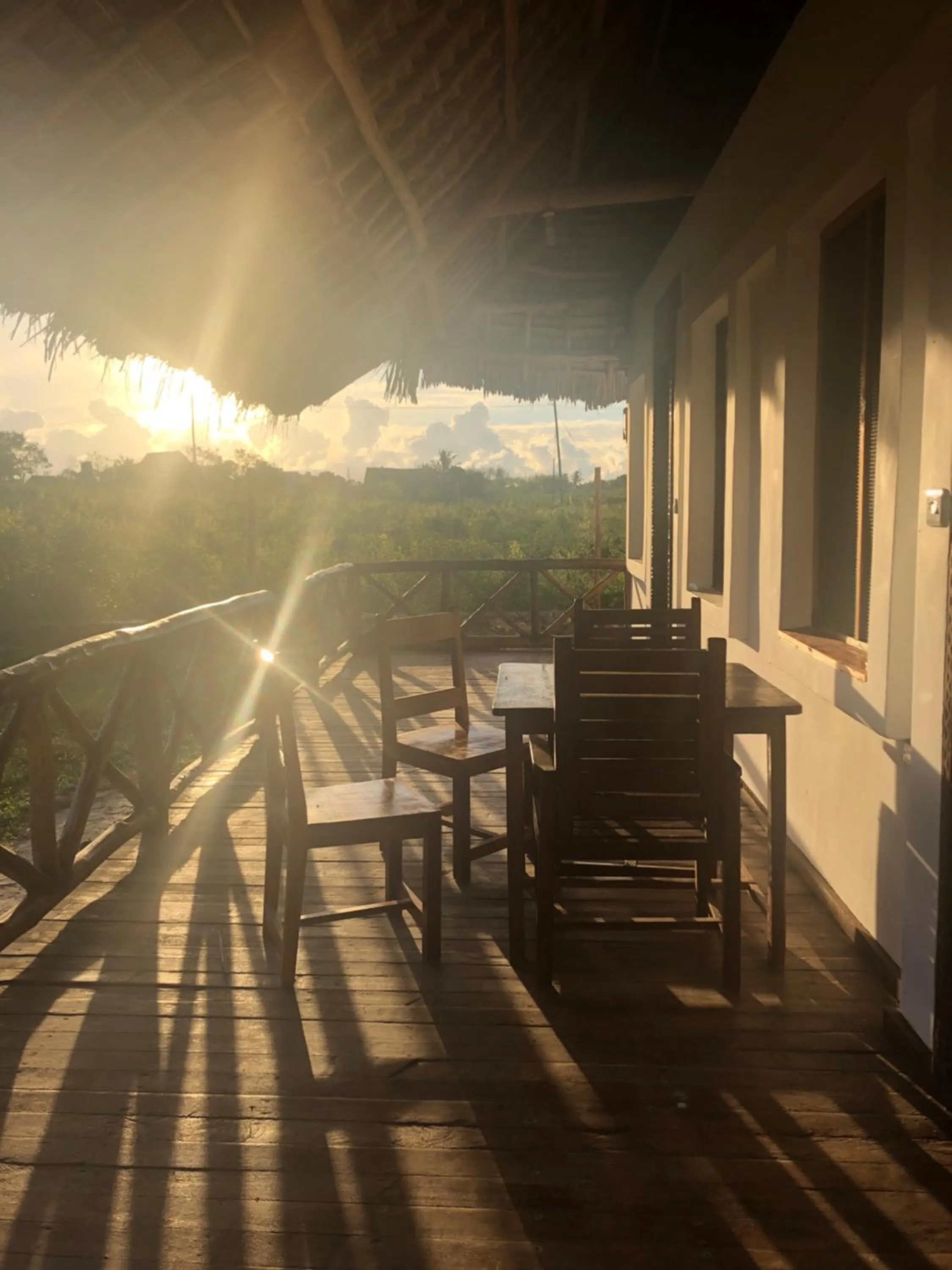 Habibis Bottle House