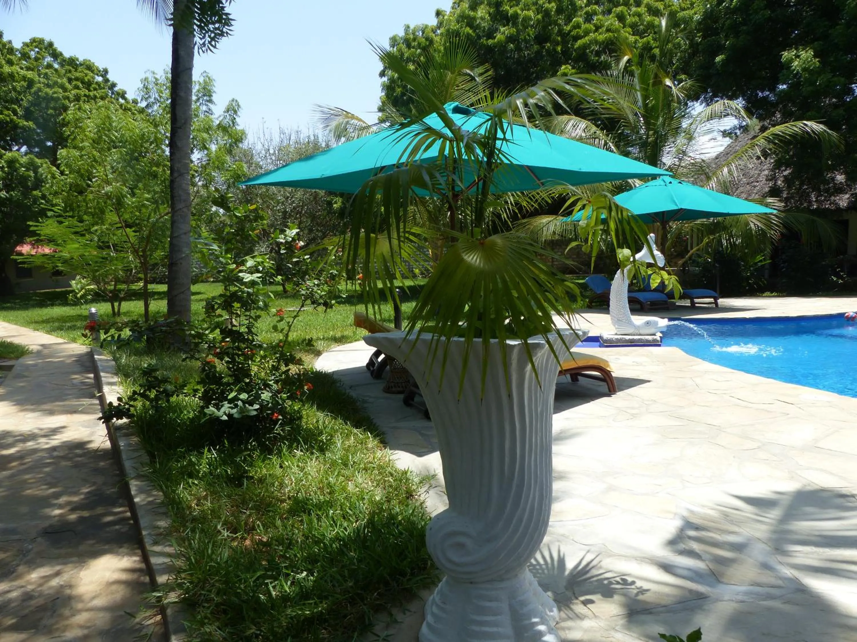 Swimming pool in Residence Maison Müge