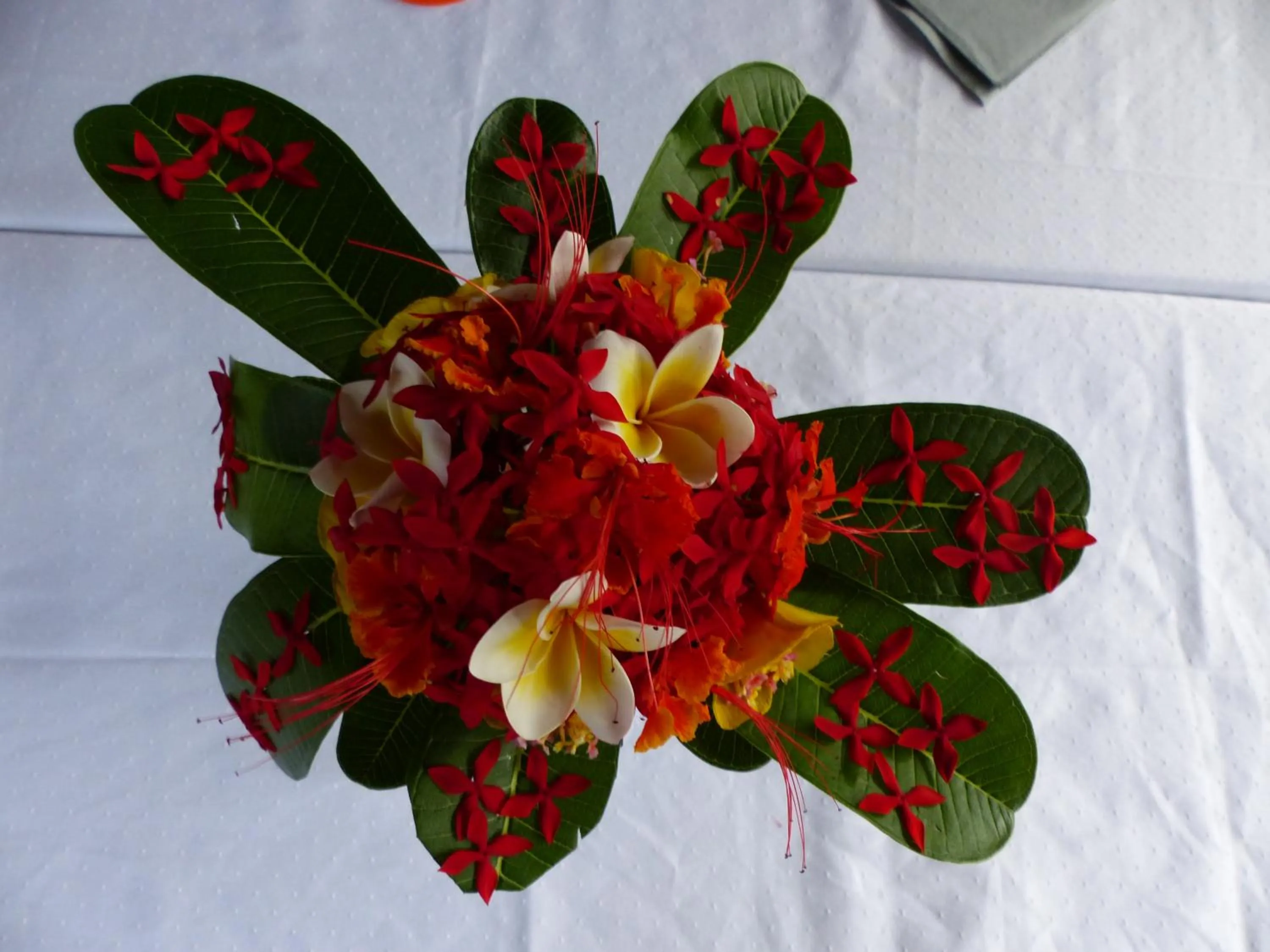 Restaurant/places to eat in Residence Maison Müge