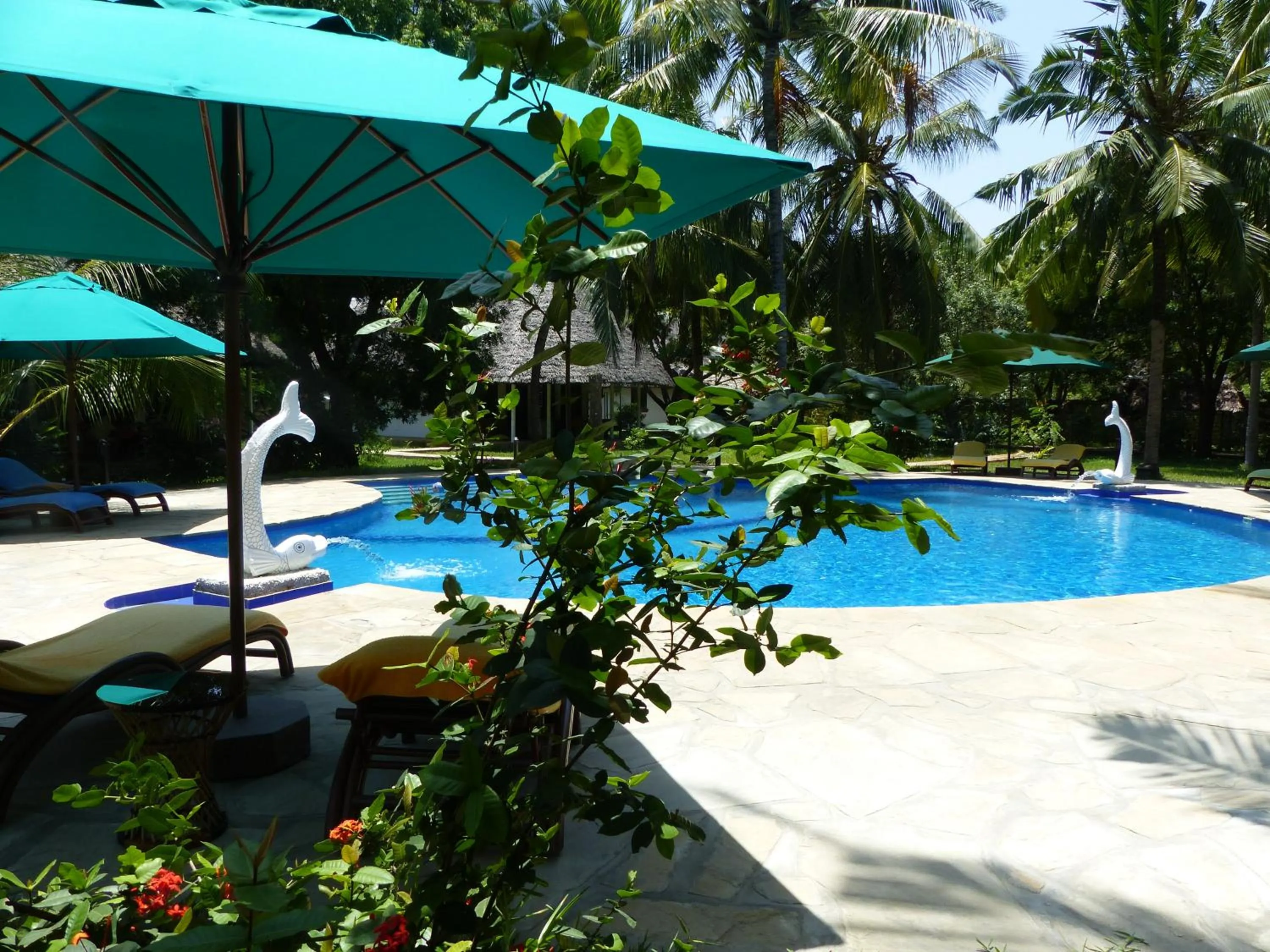Swimming pool in Residence Maison Müge