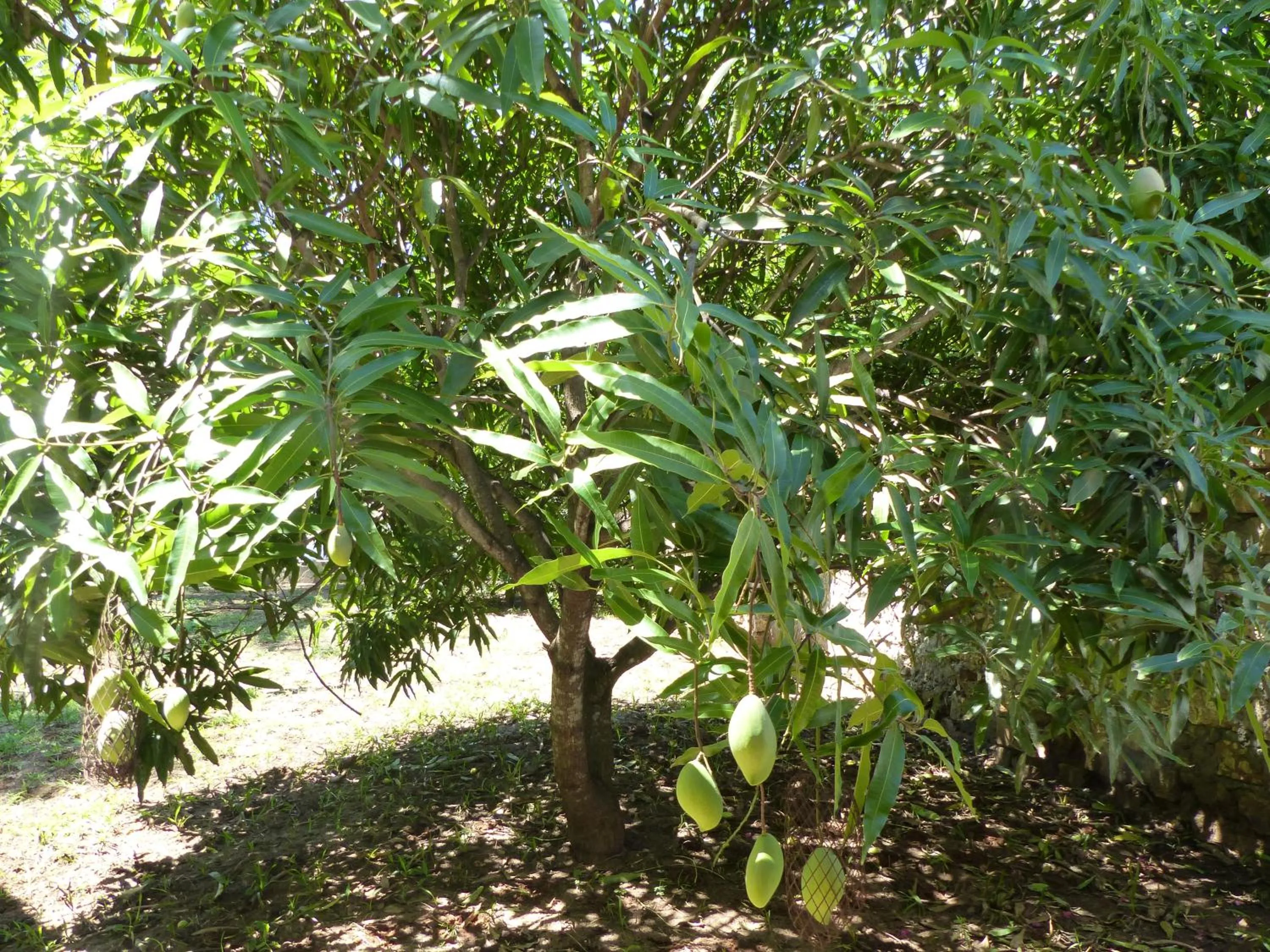Garden in Residence Maison Müge