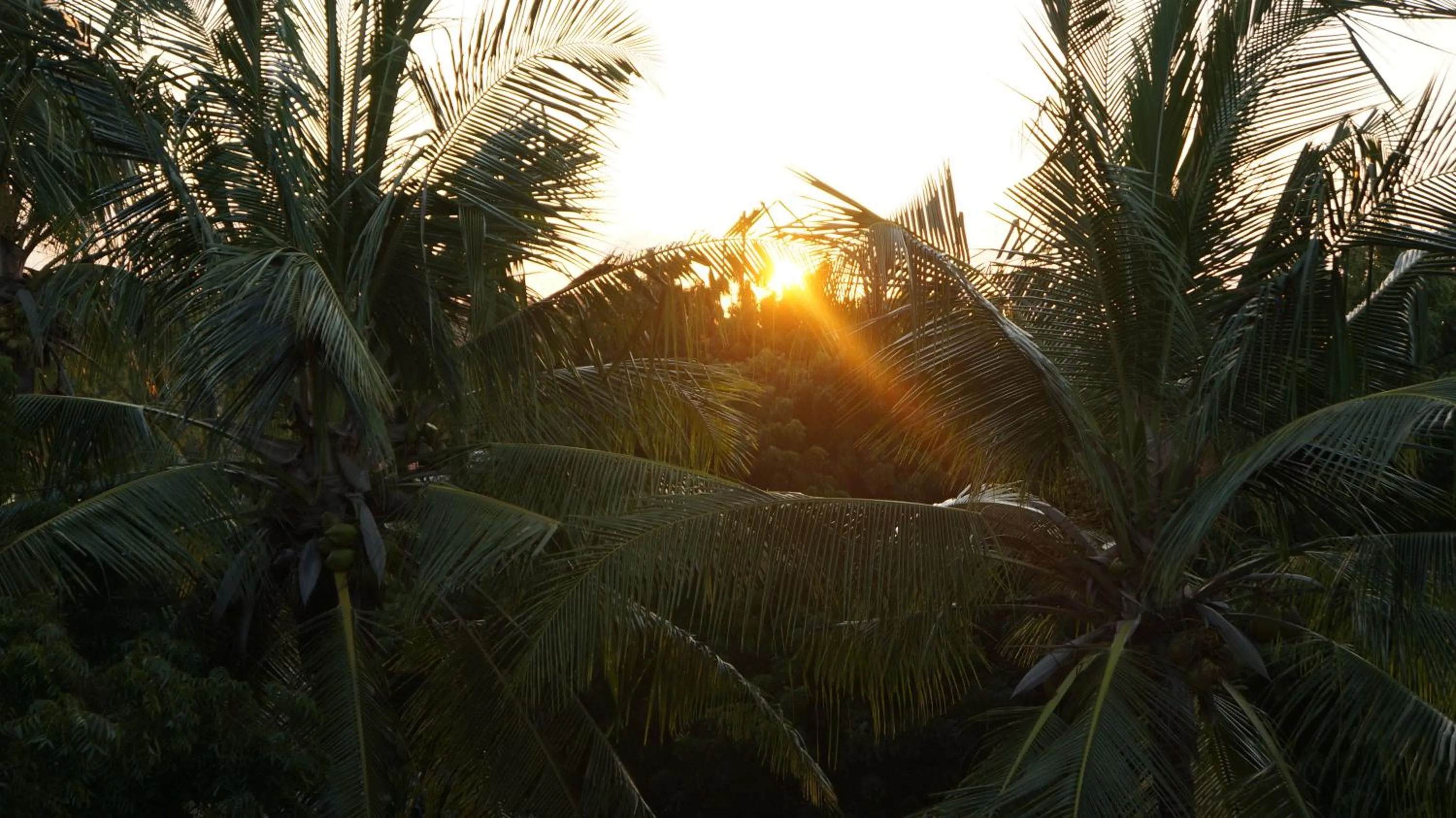 Balcony/Terrace in Residence Maison Müge