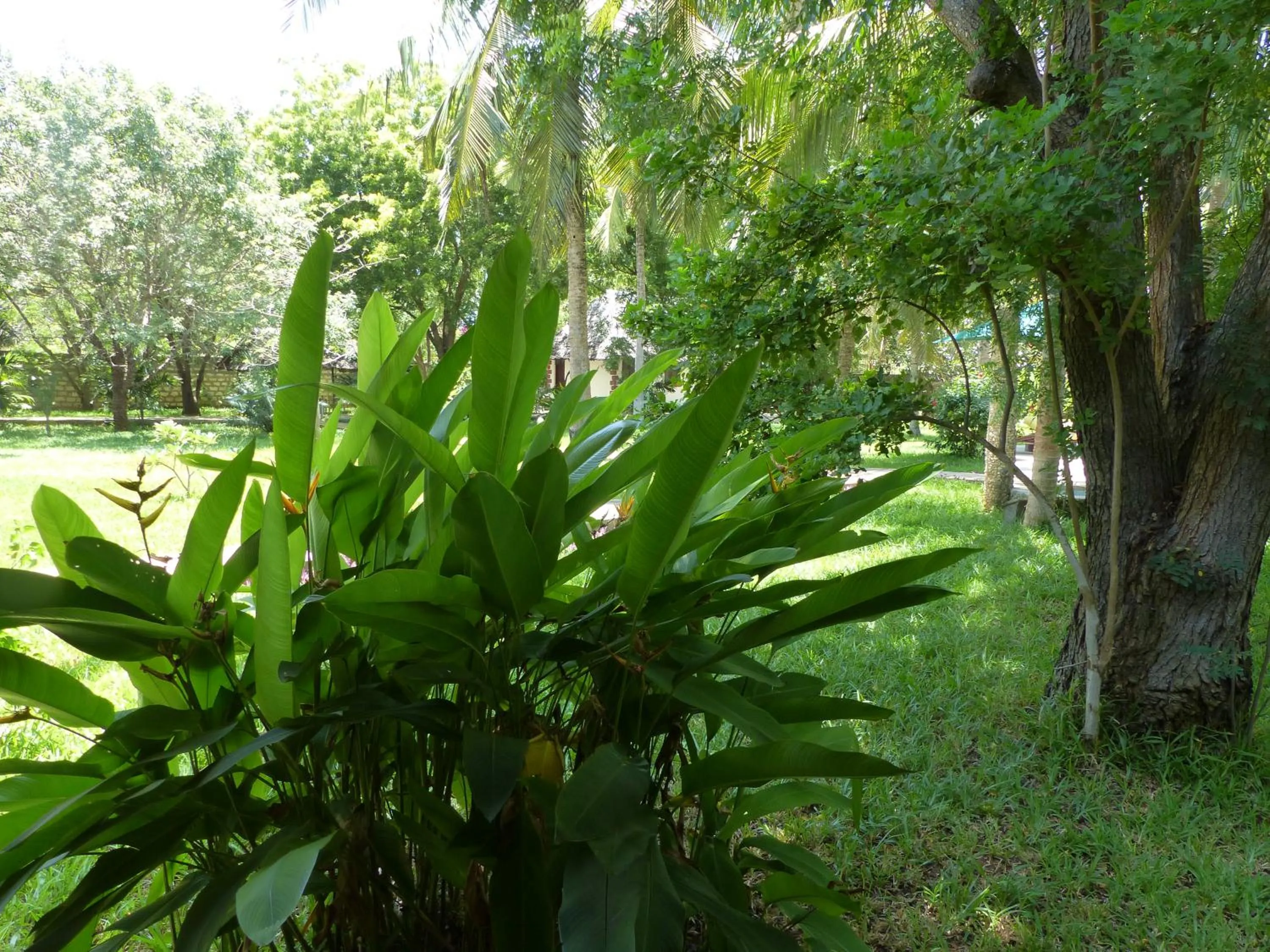 Garden in Residence Maison Müge